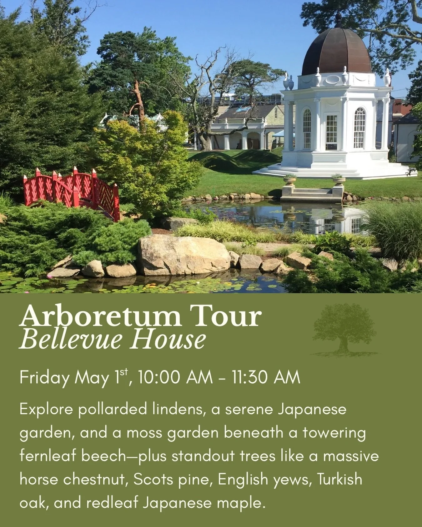 Join us for a tour of the enchanting Bellevue House arboretum 🌳✨

From pollarded lindens to a serene Japanese garden and mossy retreat beneath a towering fernleaf beech, Bellevue House if full of living history. 

Join us to explore it all. Visit th