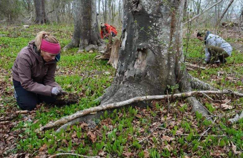 &ldquo;Trees are magic.&rdquo; &mdash; Jennifer McDermott &amp; Joshua A. Bickel 🌳✨

We&rsquo;re grateful to Jennifer McDermott &amp; Joshua A. Bickel for highlighting our work in their recent article. Your coverage helps shine a light on what drive