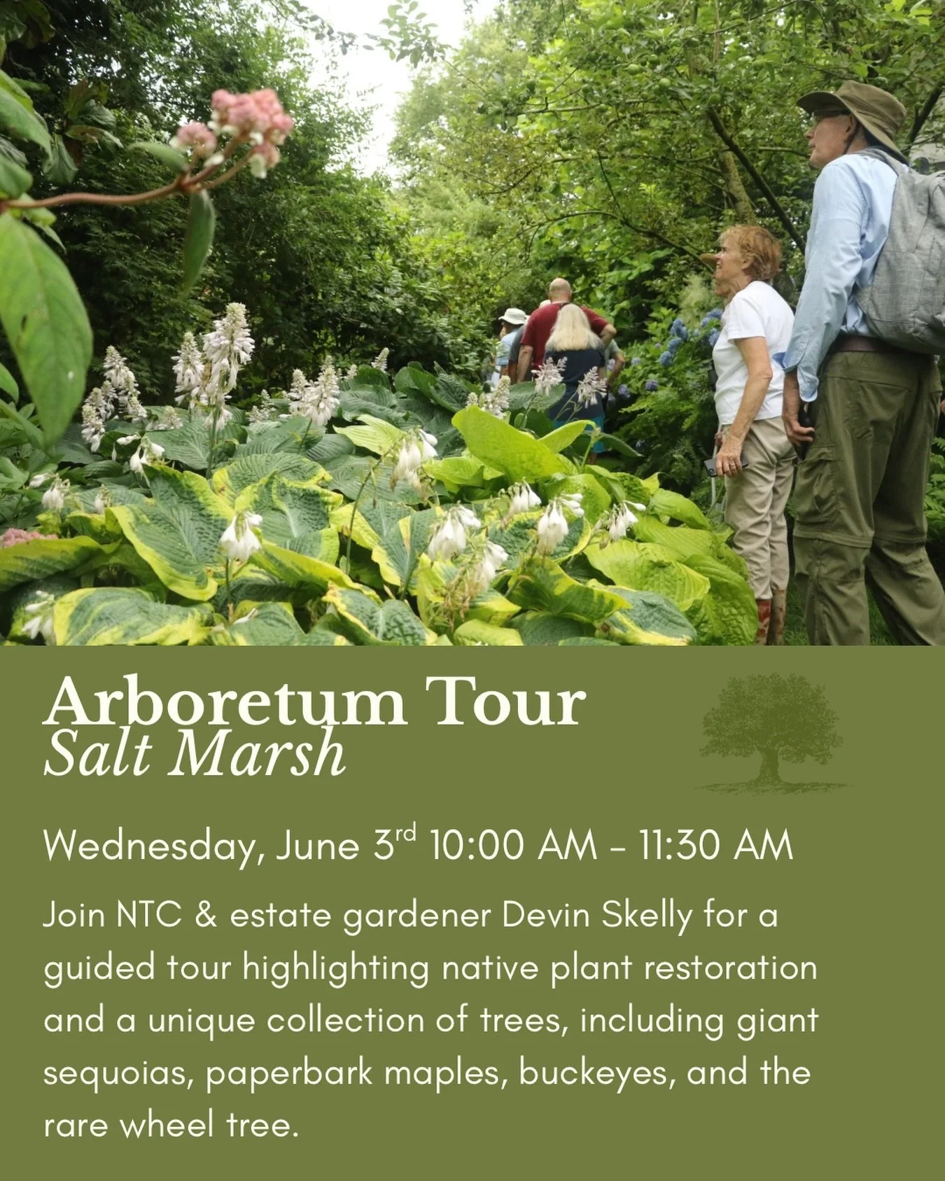 Explore one of Newport&rsquo;s hidden horticultural gems! 🌿🌾

Located on the restored salt marshes of Gooseneck Cove you&rsquo;ll discover everything from towering giant sequoias to rare and unusual tree species. Join us for this unique opportunity