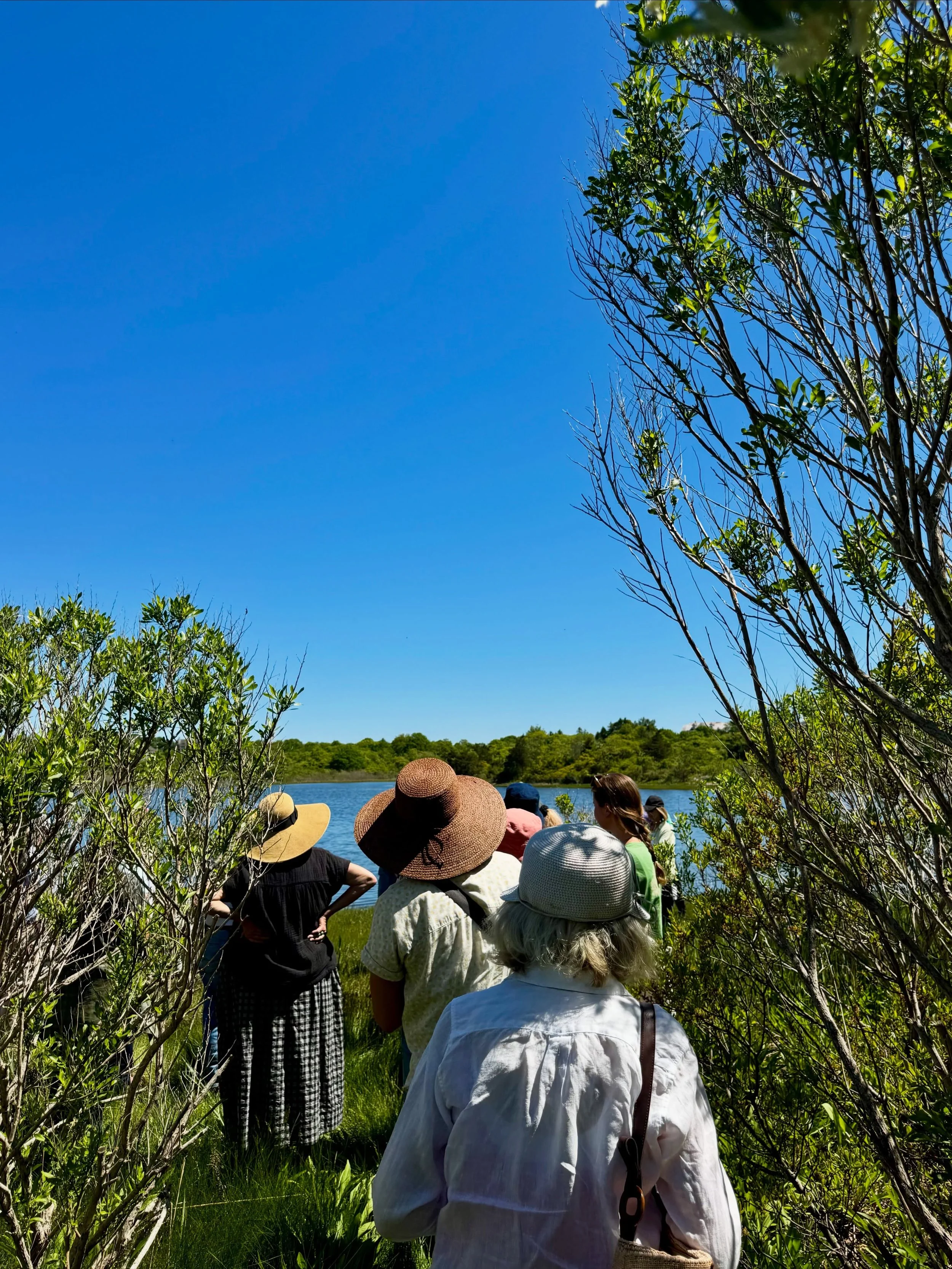 Salt Marsh &mdash; a property that truly never disappoints. 🌞🌾

This arboretum is the perfect blend of English countryside charm and coastal wetland beauty&mdash;the aesthetic of our dreams.

If you&rsquo;re interested in checking out more of these