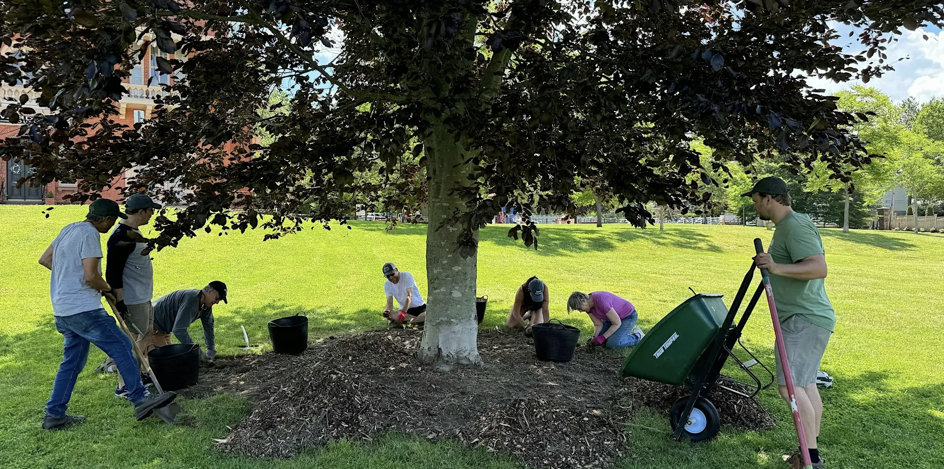 Tree Corps: Storer Park
