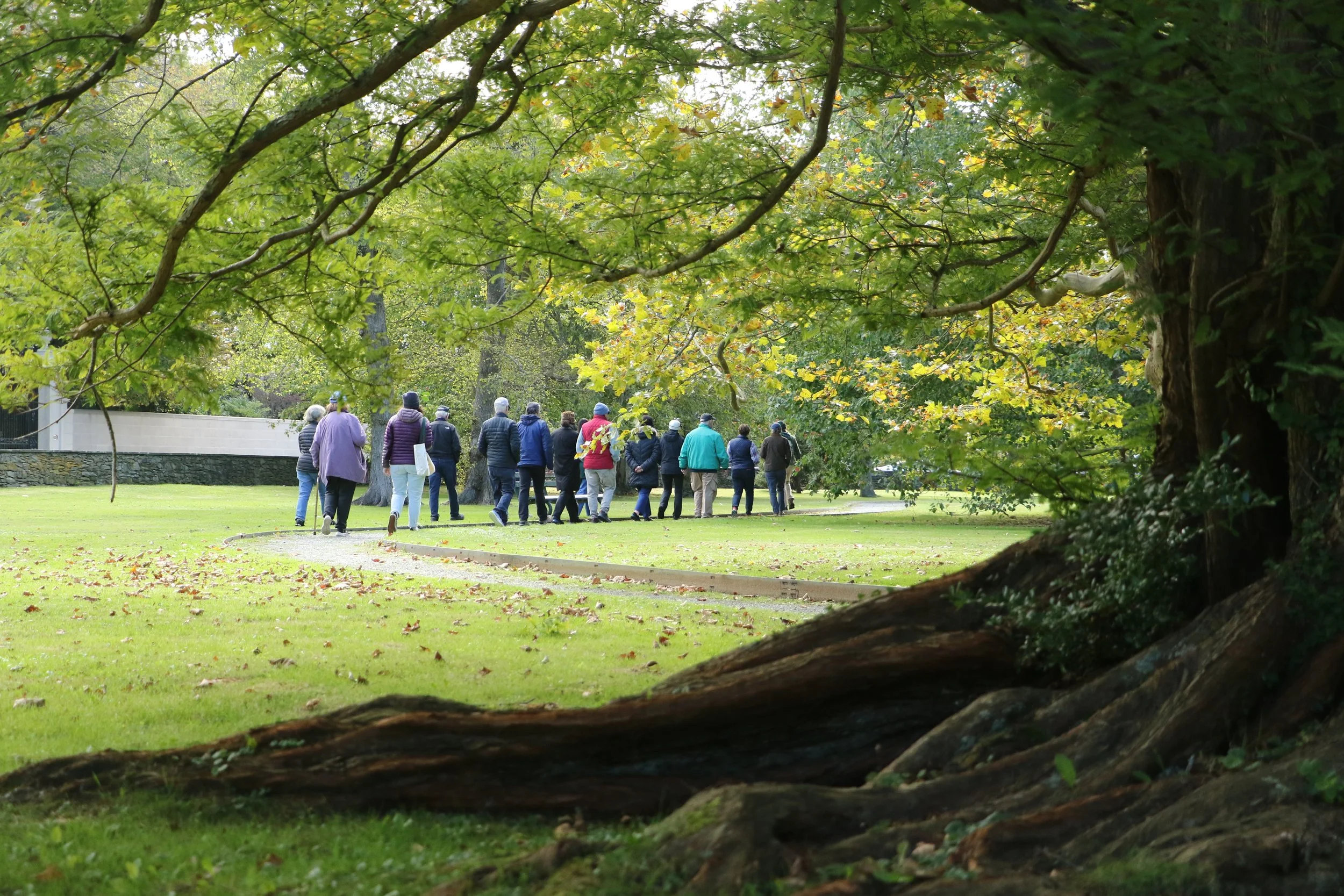 September Free Tree Walk: Rovensky Park
