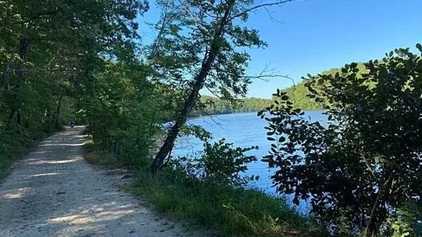 FREE EVENT : Walk for Wellness 1-Miler at Salem Lake