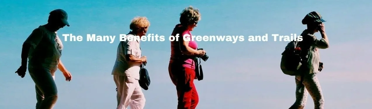 The many. benefits banner.jpg