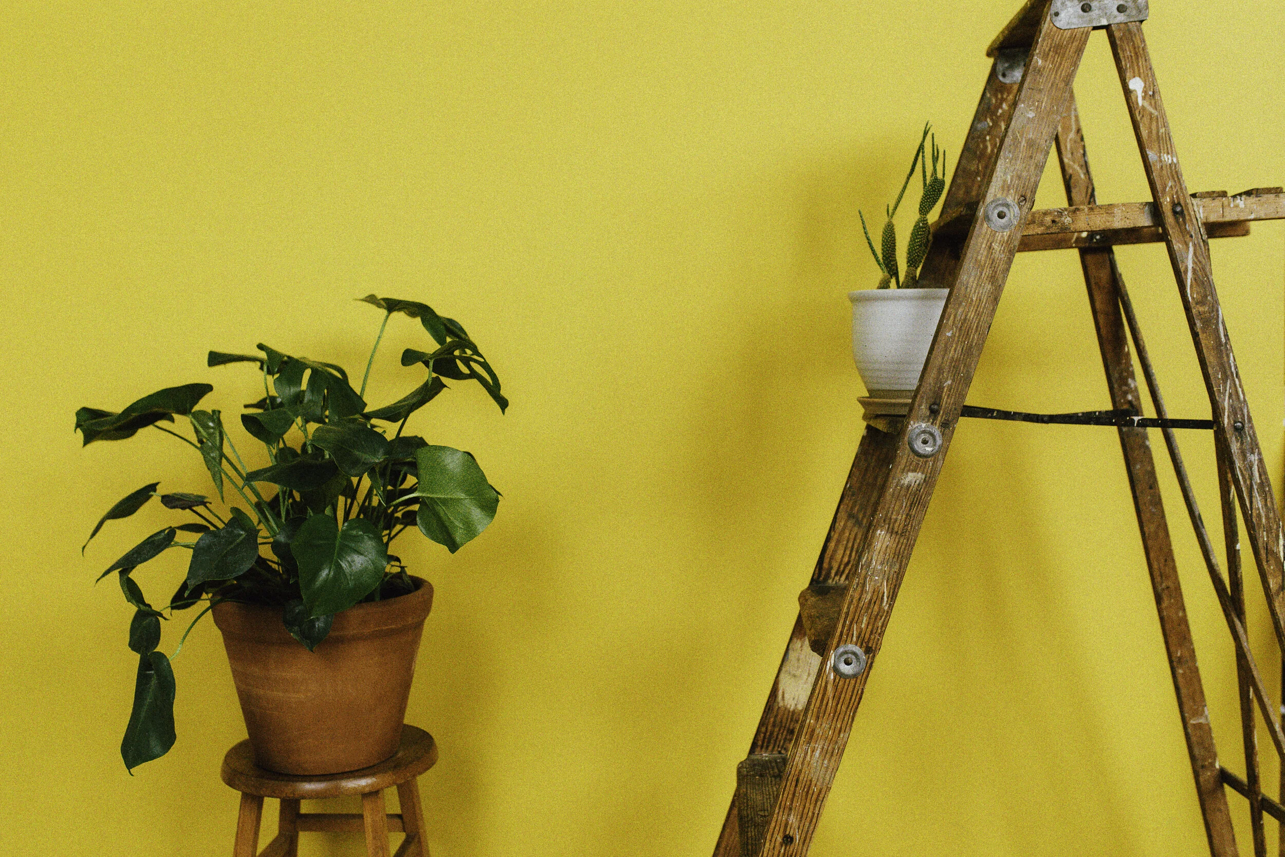 Should You Get Rid of Ladders?