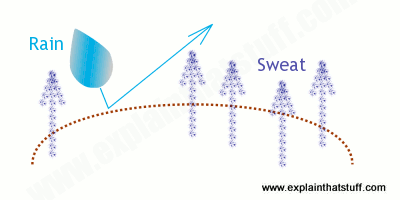 how-gore-tex-works.png