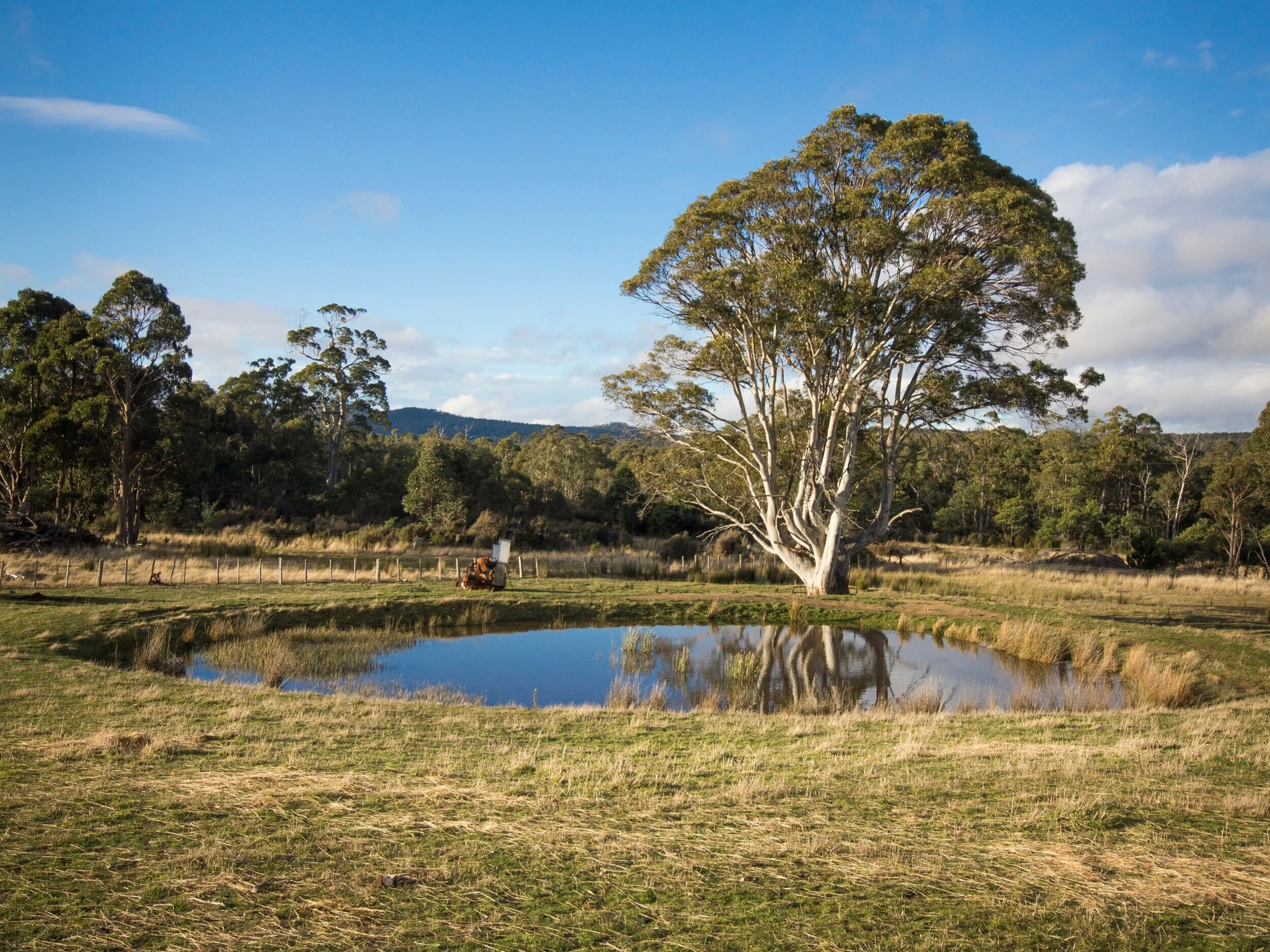 Do I Need to Fence my Dam or Pond?