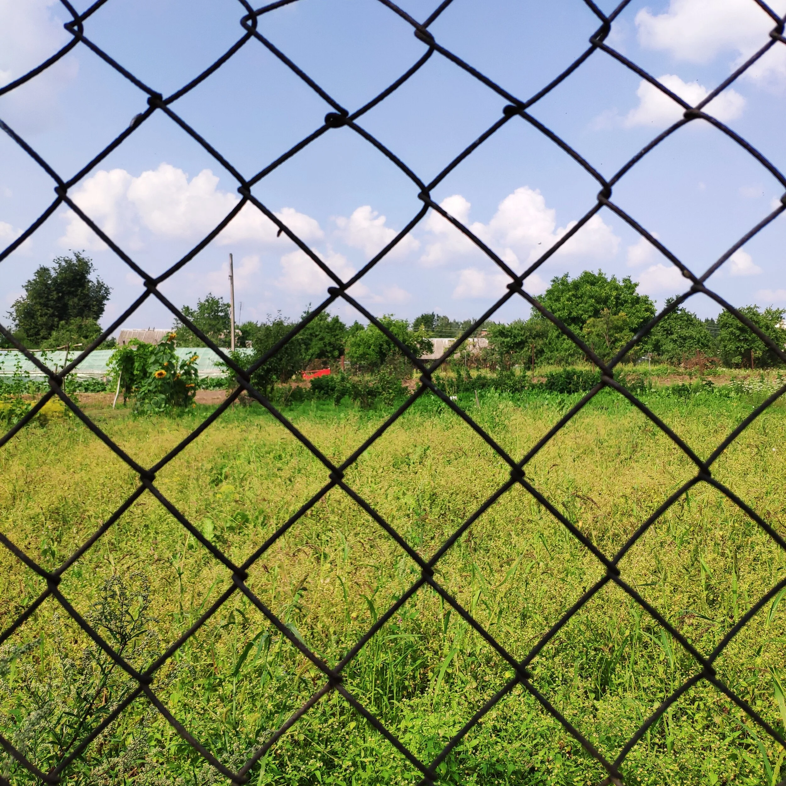 Difference Between a Safety Fence and a Perimeter Fence
