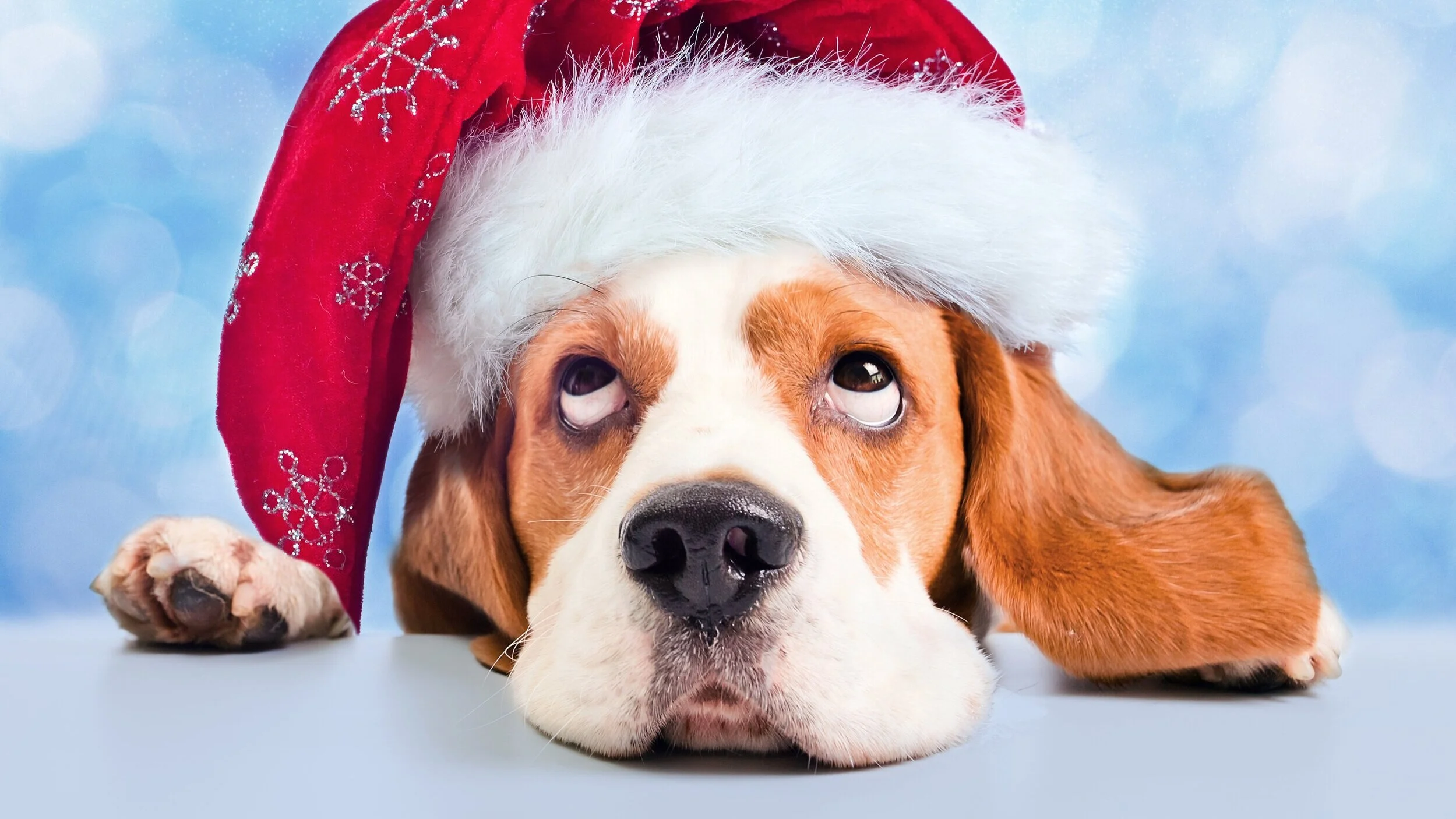Annoying People at Christmas