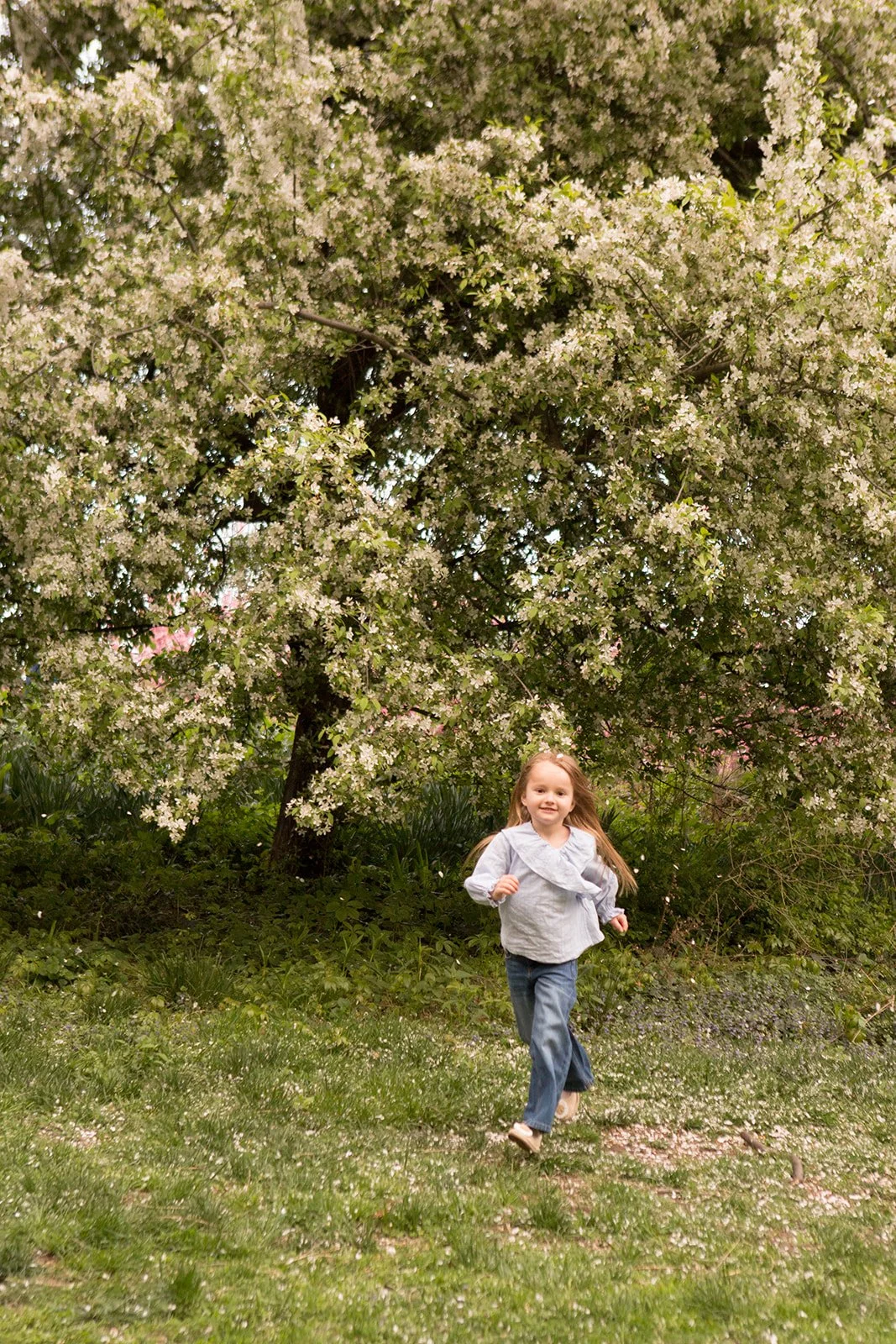 nycfamilyphotographer.jpg