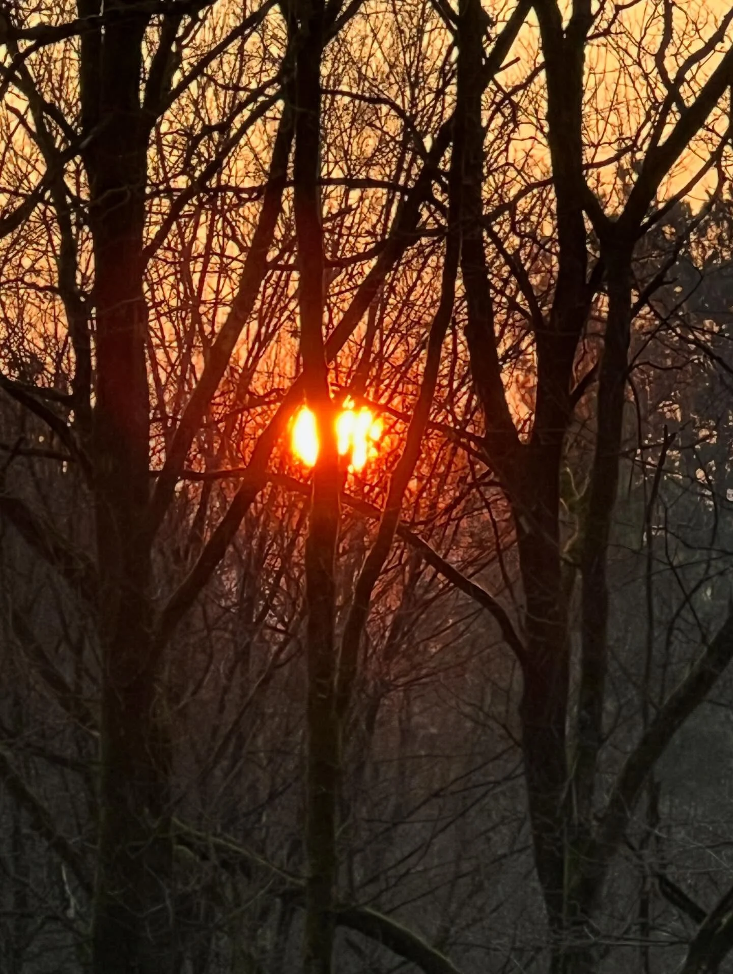 Il y a des matins comme &ccedil;a 💕there are mornings like that