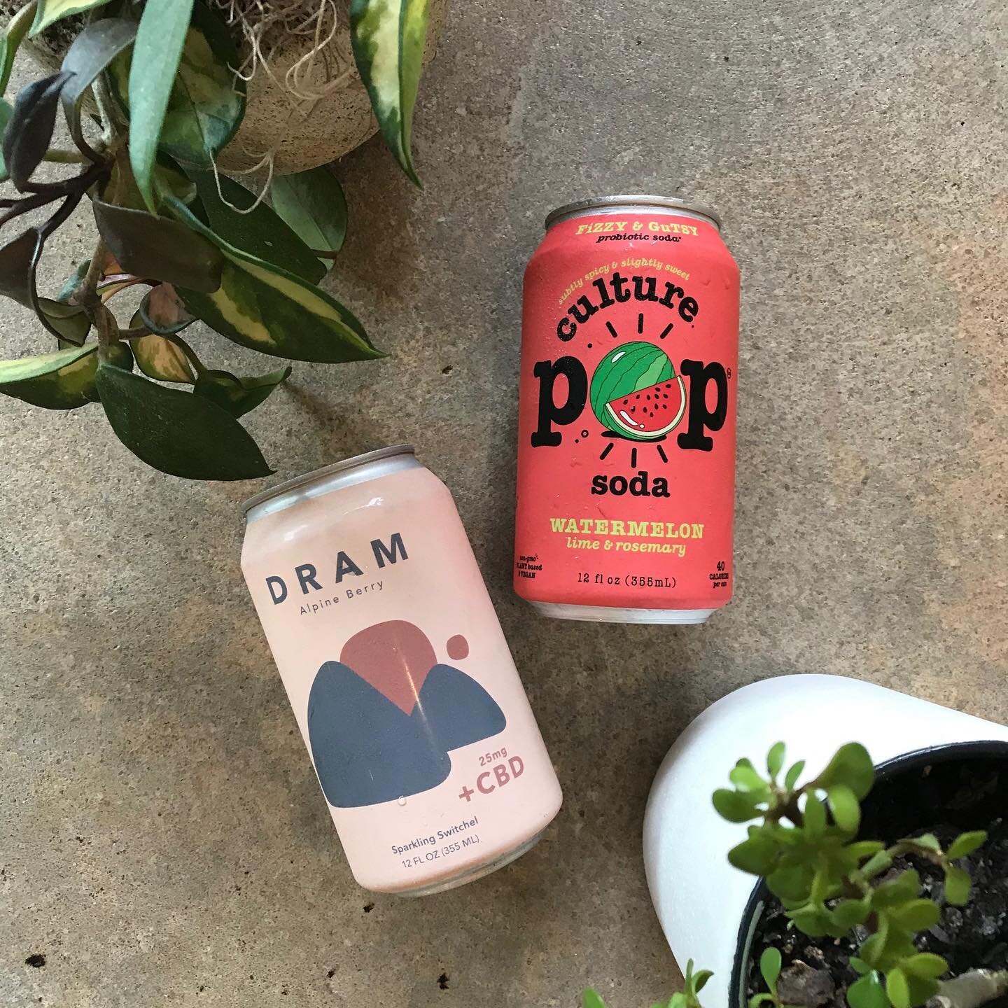 That new new. Keeping the best stocked in the cooler. New switchel cbd soda from @dramapothecary and probiotic soda @drinkculturepop .
.
.
.

#sta #stafla #staugustine #staug #staugustineflorida #staugustinefl #florida #visitflorida #junipermarket #j