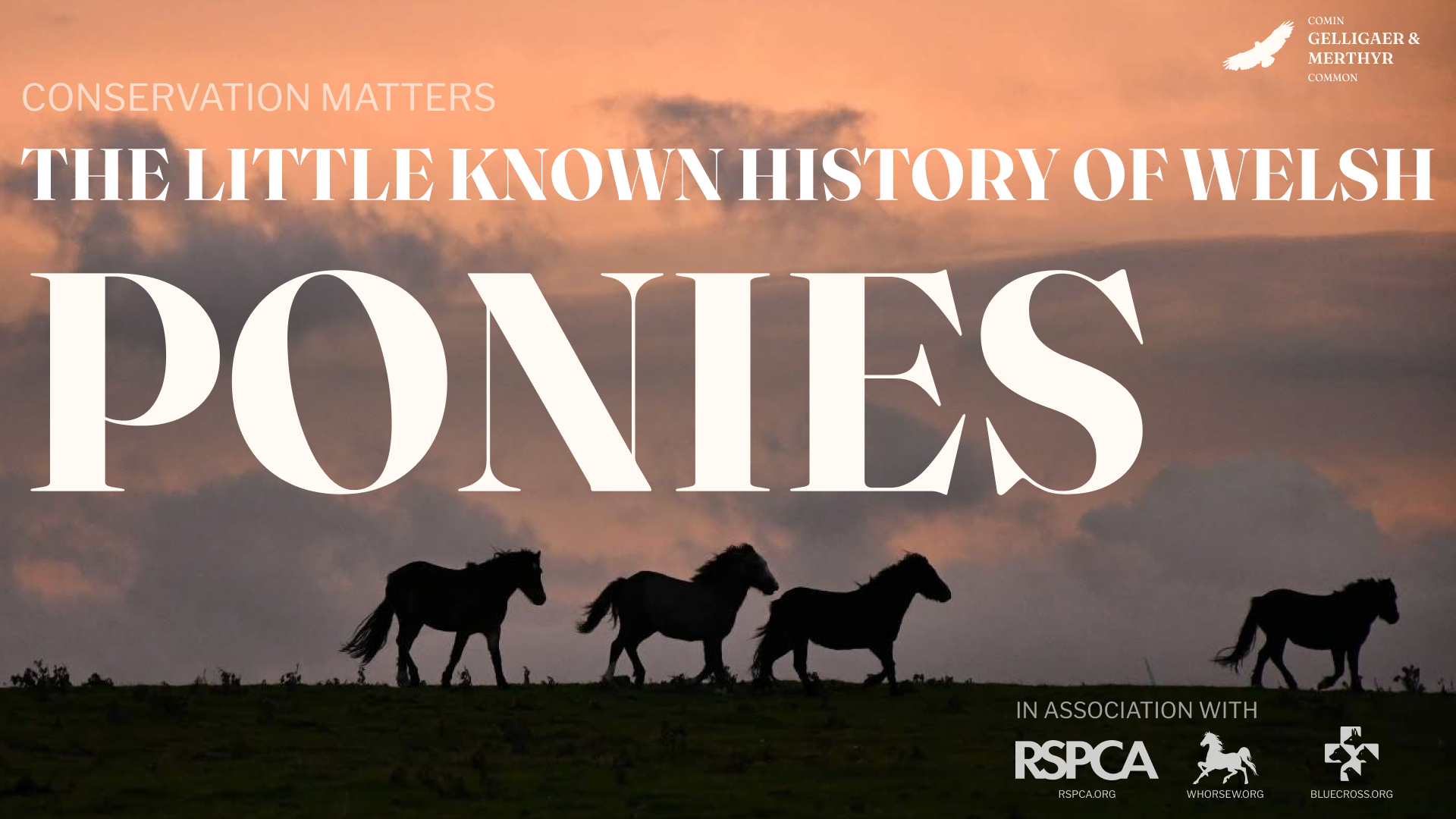 CONSERVATION-MATTERS_farming.png