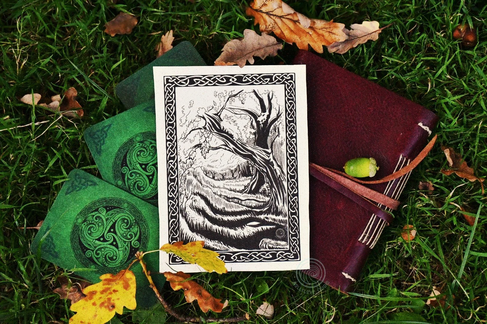 Woodland_Sketch_Photoshoot_001.jpg