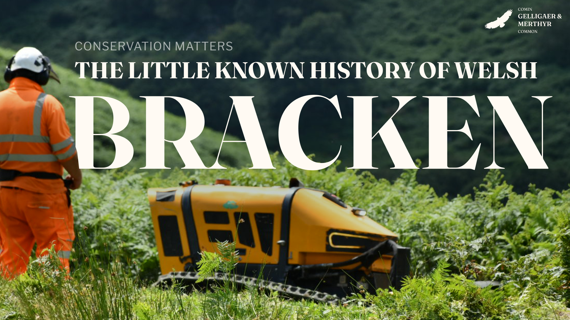CONSERVATION-MATTERS_bracken.png