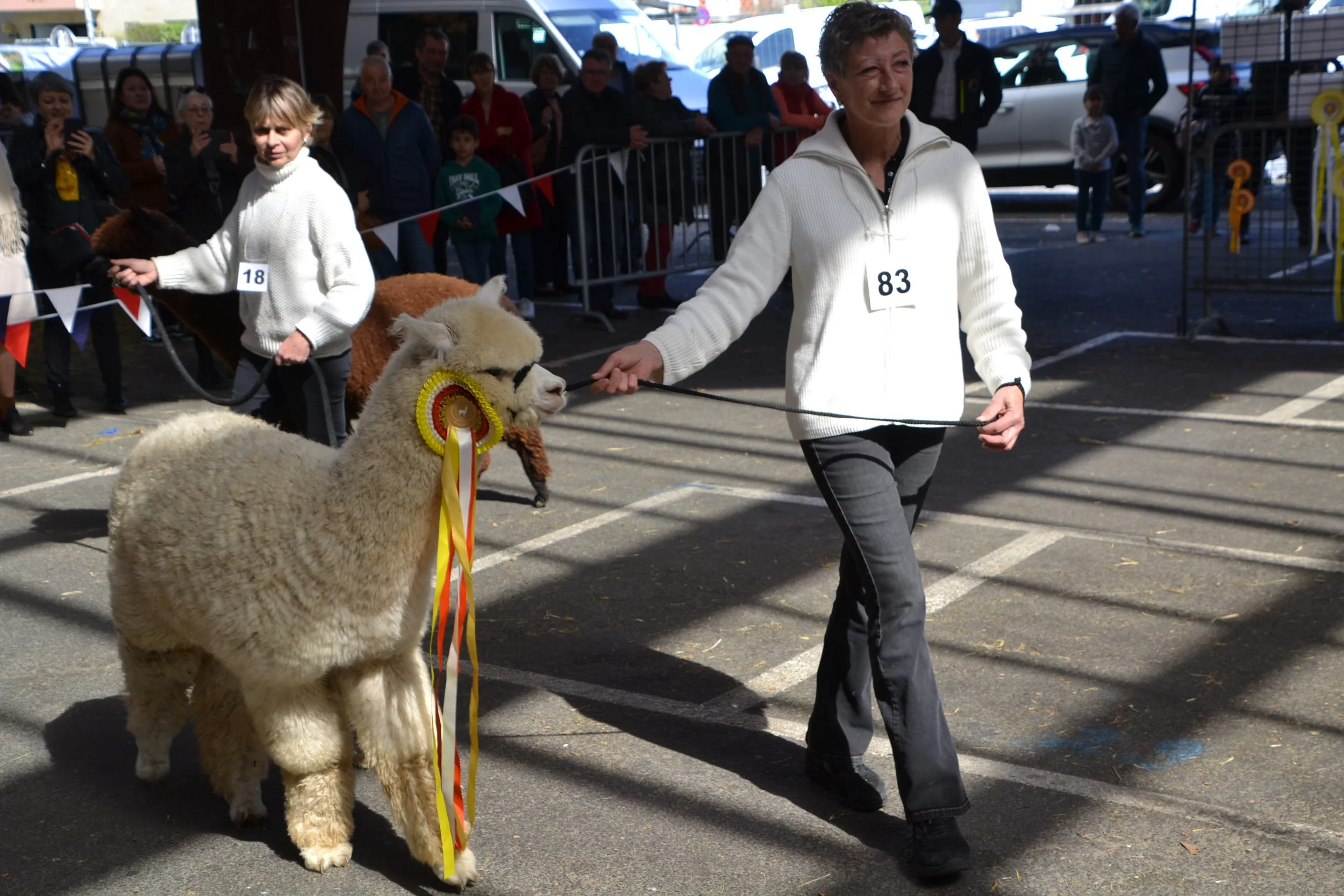 DSC_0285.JPG