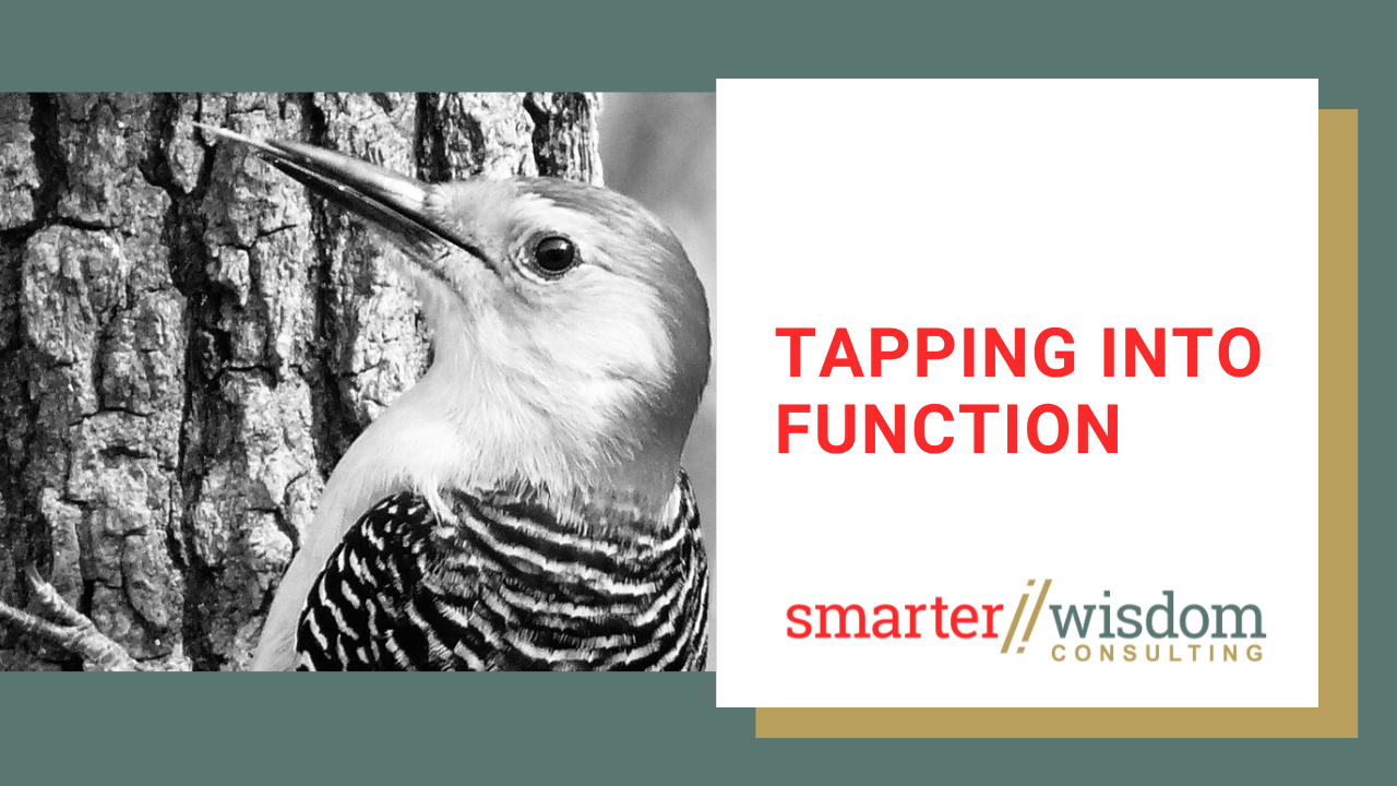 Tapping Into Function