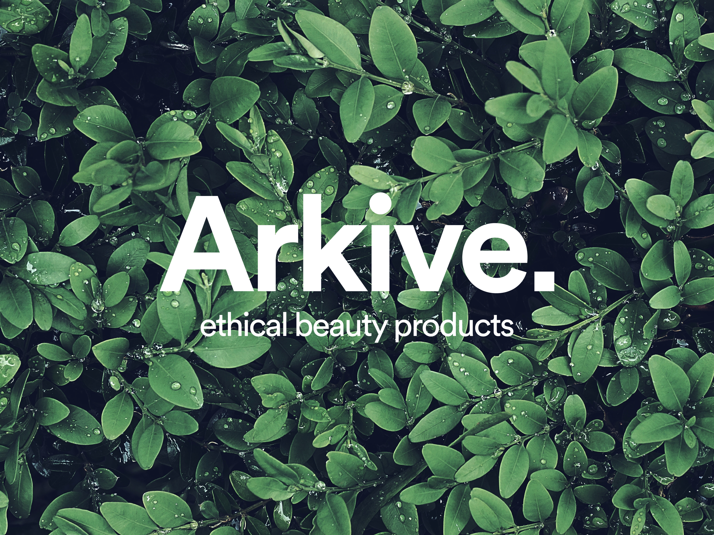 Delivering High-Quality Graphic Design Solutions for Arkive, the Eco-Friendly Beauty Product Platform in the Netherlands. 