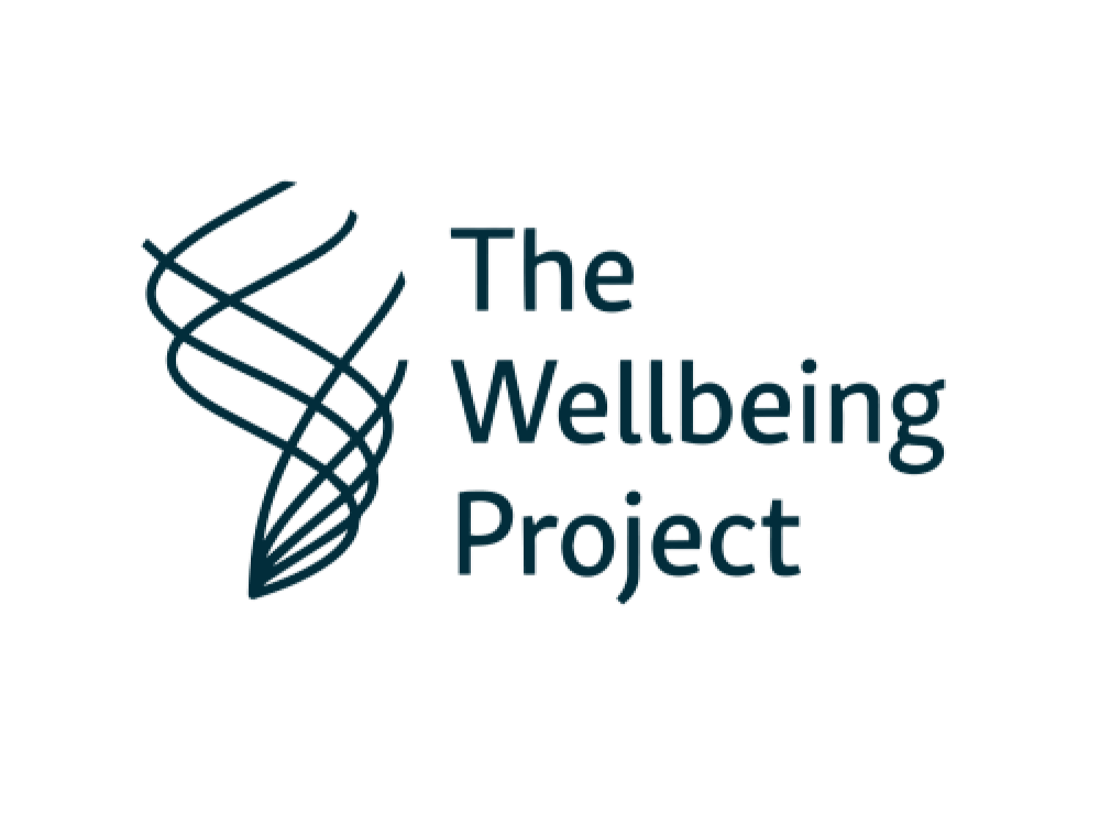 The Wellbeing Project.png