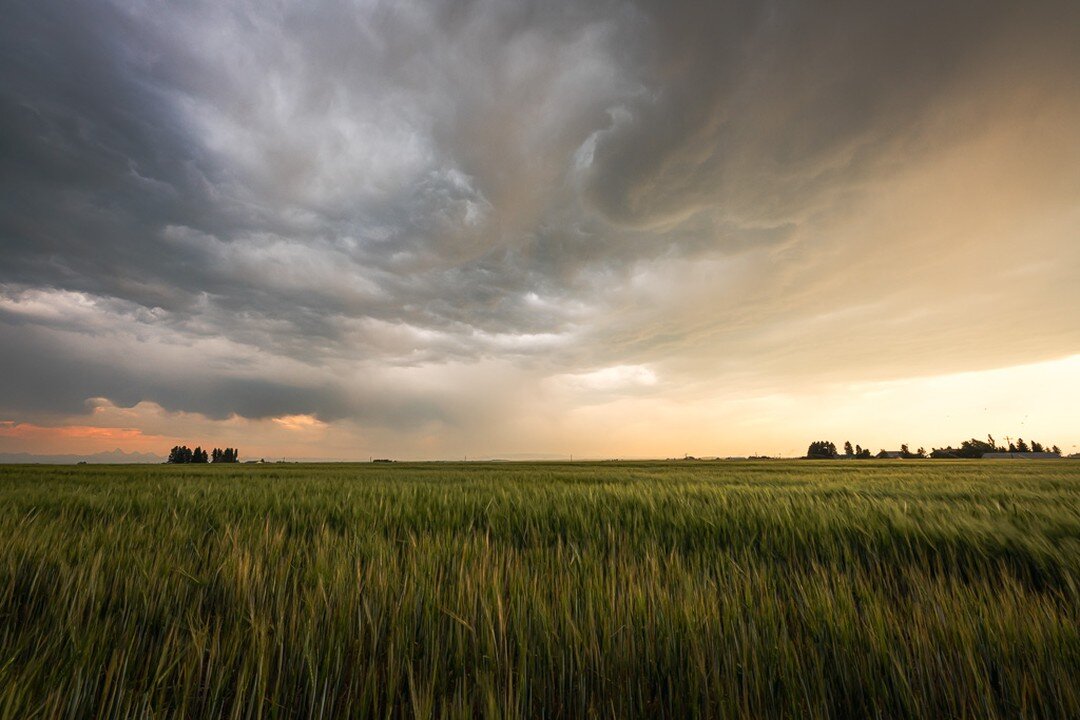 We have been defiantly enjoying some cooler weather up here in Idaho. Here is a little bit about how the vacation has been going ;) 

#Idaho #easternidaho #Feilds #pictureline #Stormchasing #Ashton #Jacksonhole #landscapes #idahodaily #jacksonholewyo