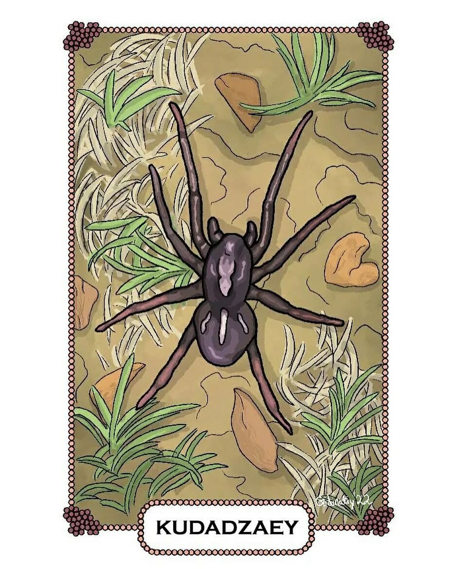 Reposted from @anywhichwayart /// Spider Matching card in Ahtna
#languagelearning #languagerevitalization #ahtna #ahtnaathabascan #athabascan #alaskannative #alaska #spider #insects #arachnid #digitalart #photoshop #digitalartist #nativedigitalartist