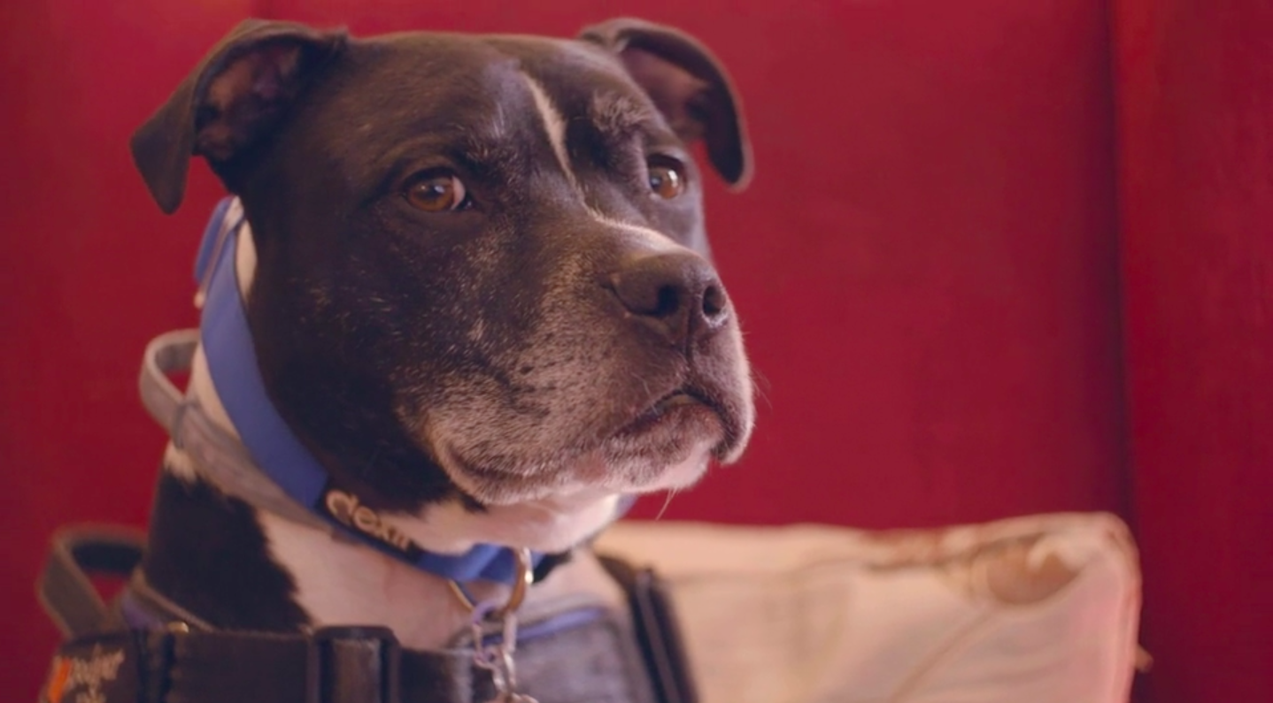 Screen Shot 2020-01-16 at 16.26.35.png