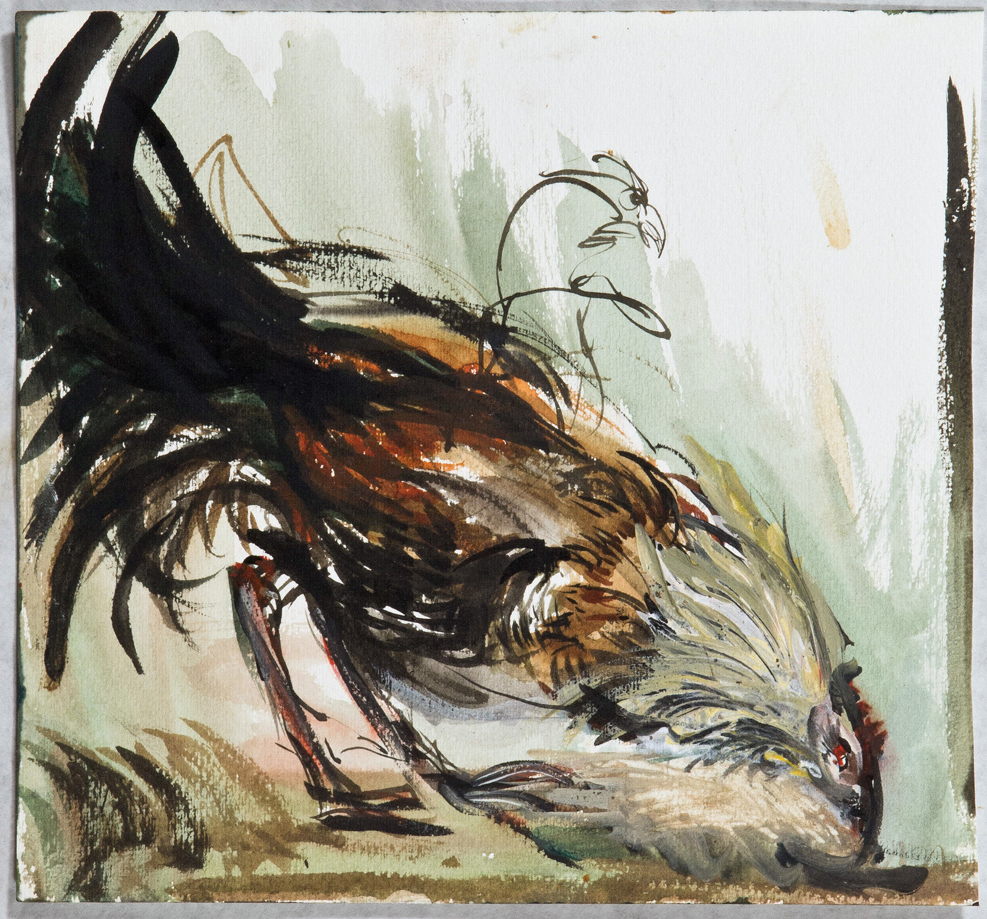 Pecking