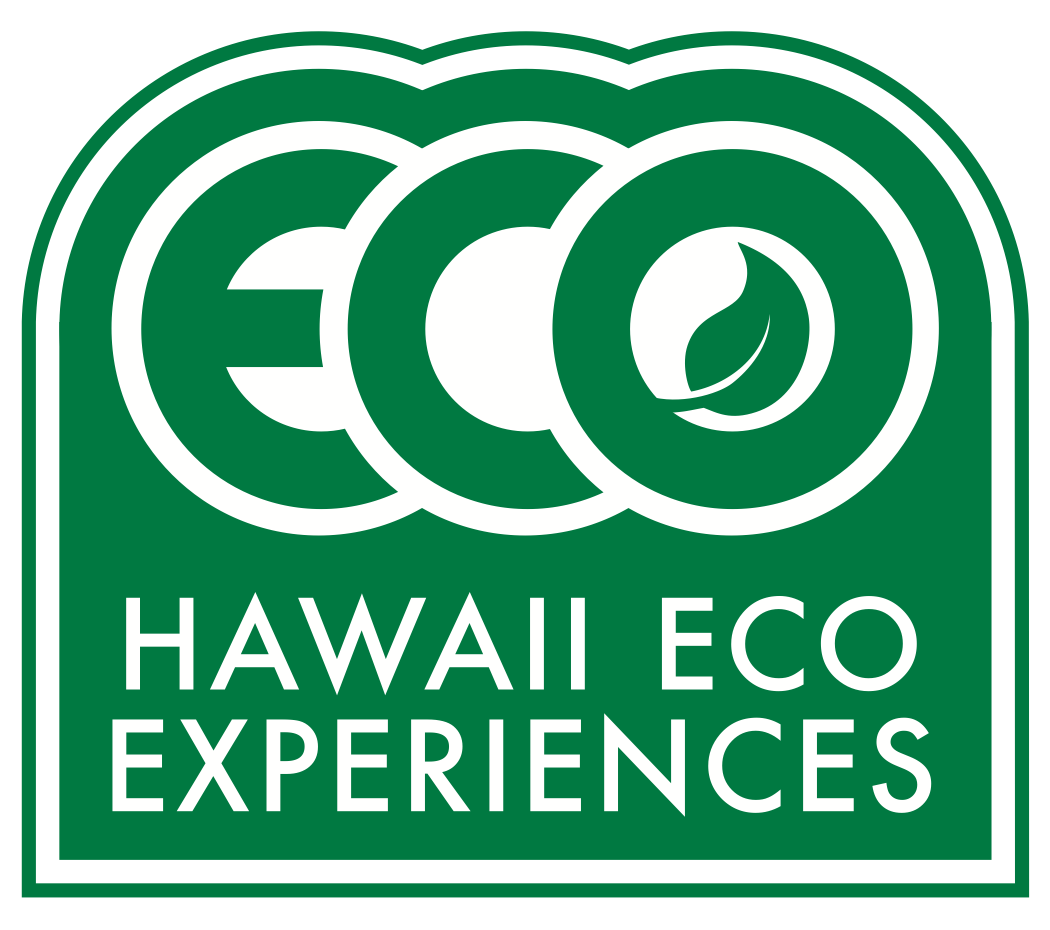 Logo green Eco.png