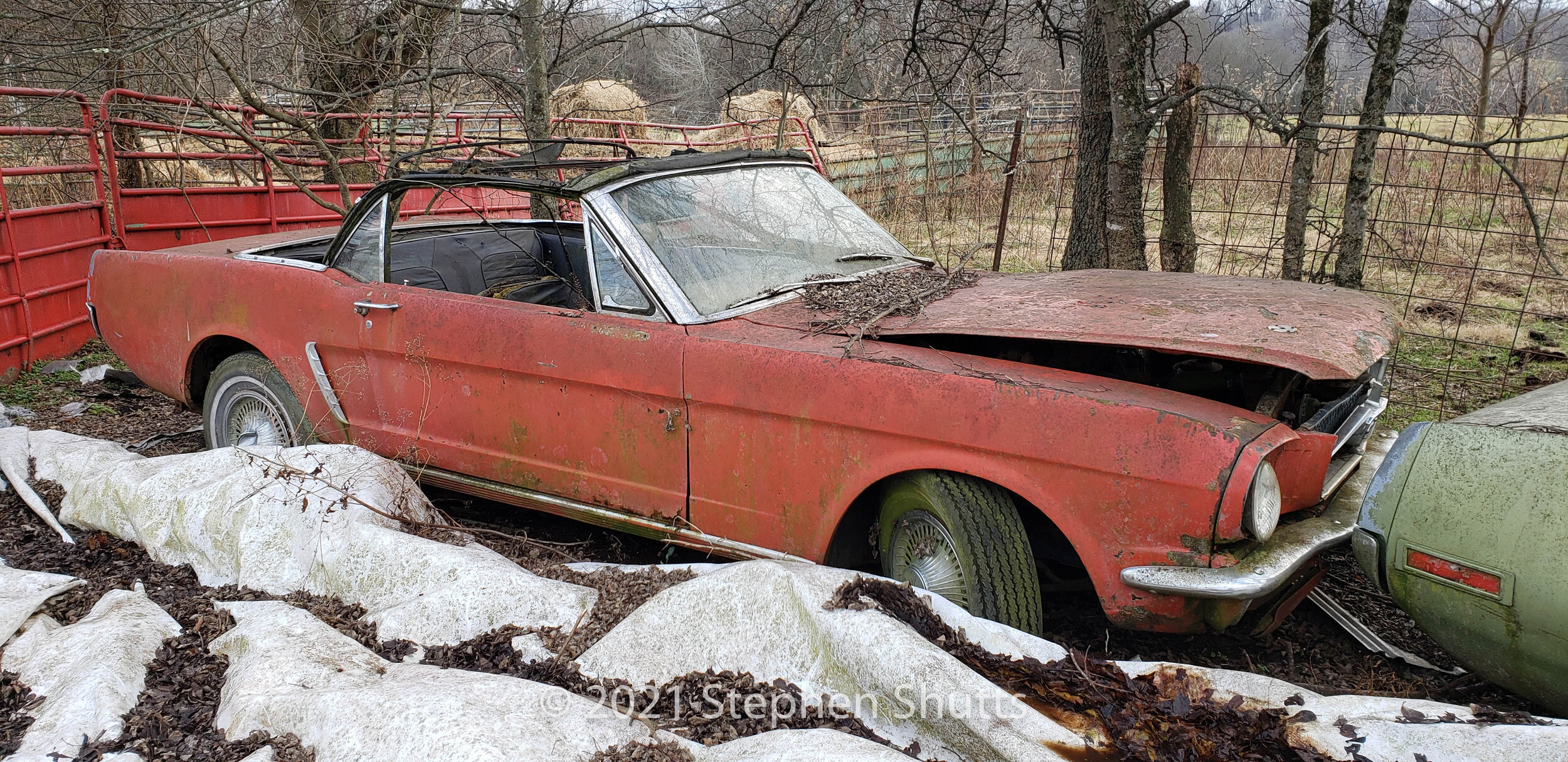 SOLD - Mustang Convertible and Coupe
