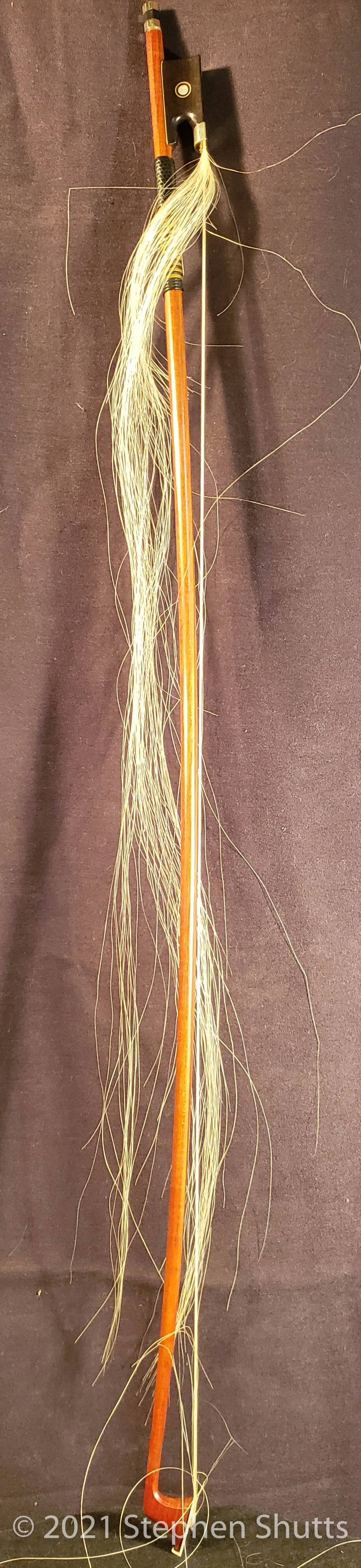 20210227_010513.jpg