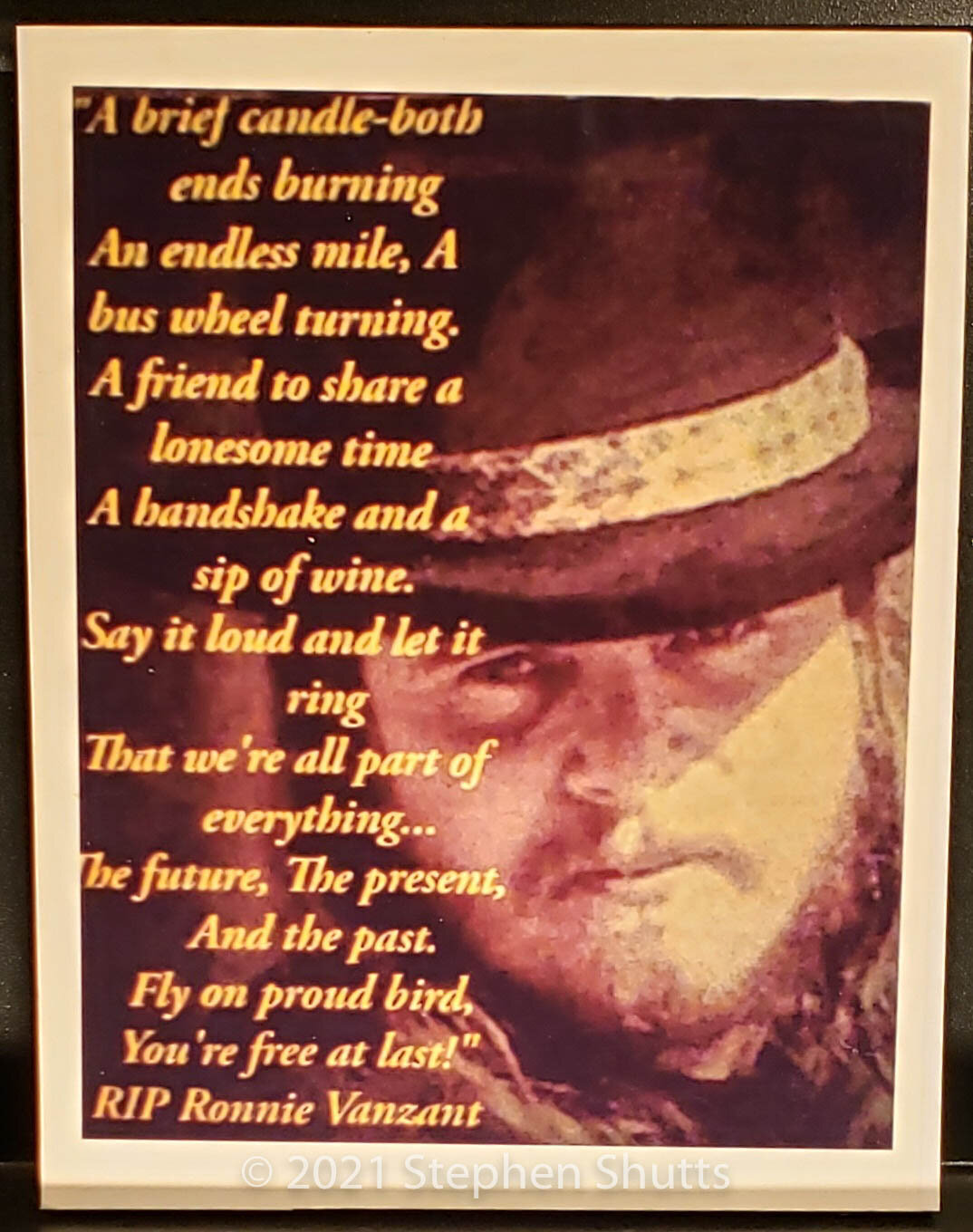SOLD - Ronnie Van Zant 