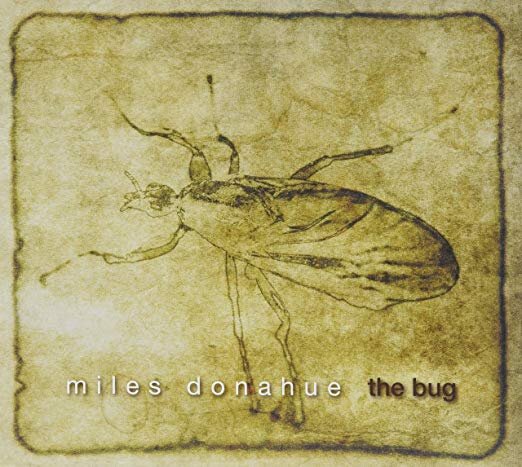 Bug - Miles Donahue