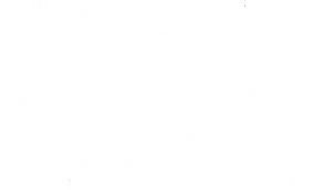 white background.jpeg