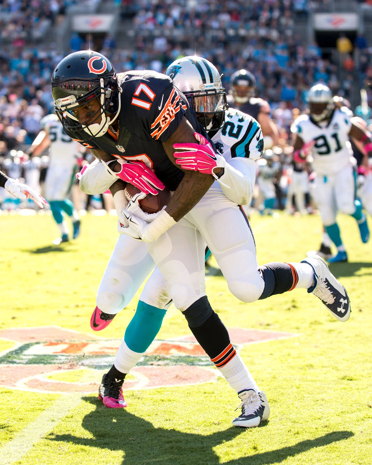 chicago bears 17.jpg