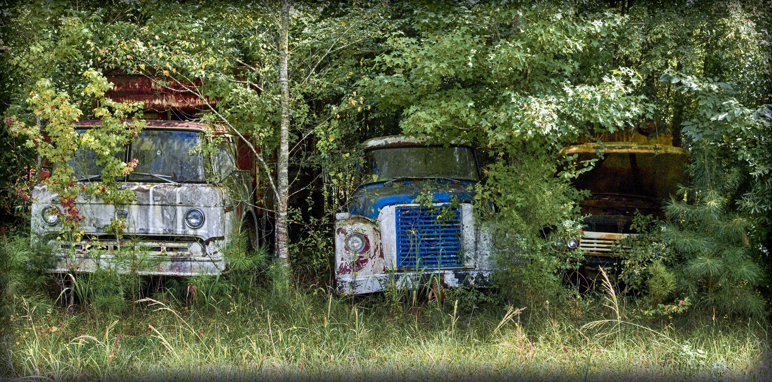 DSC_0109.jpg