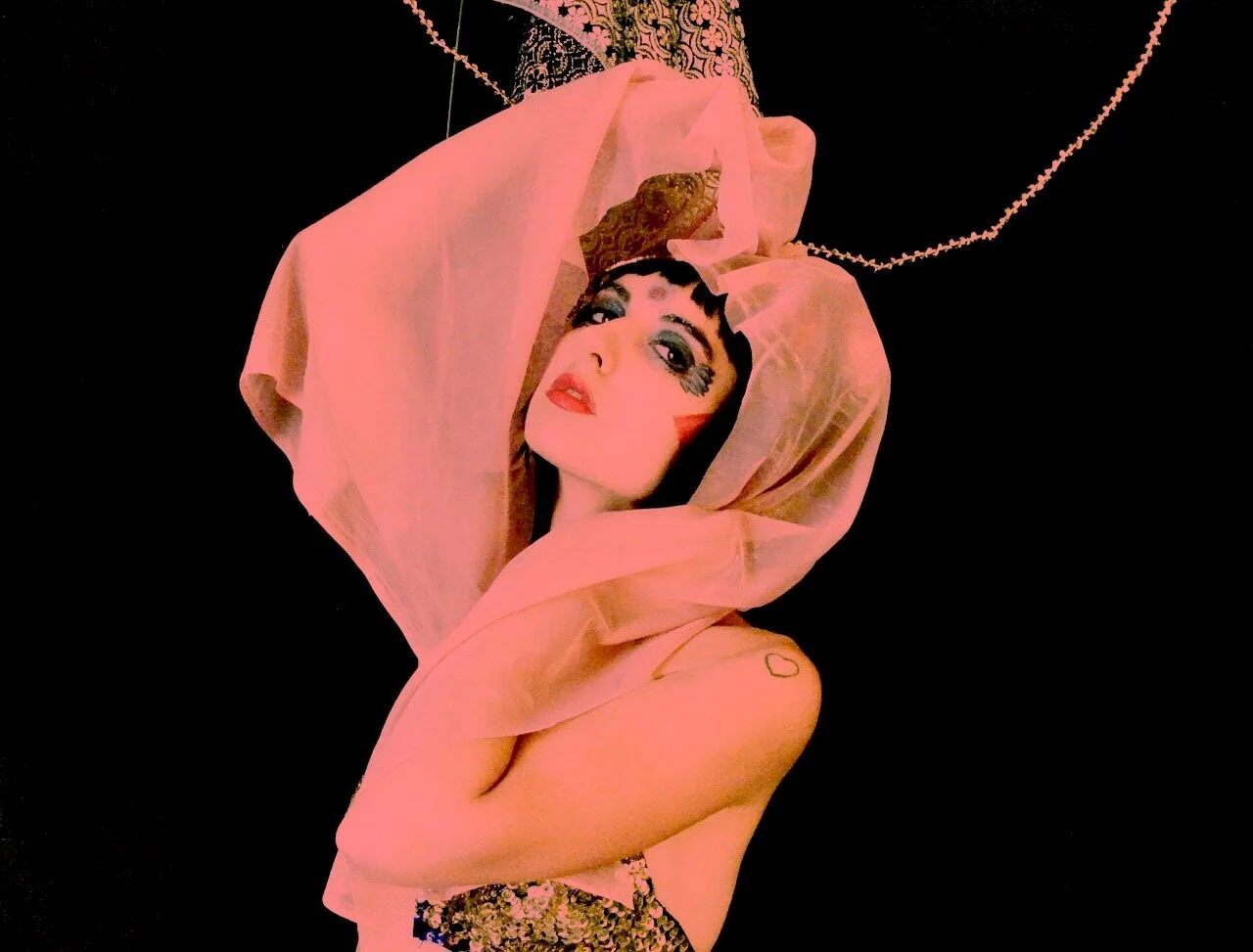  Full Moon Eclipse, 2017  Samantha Cimino 