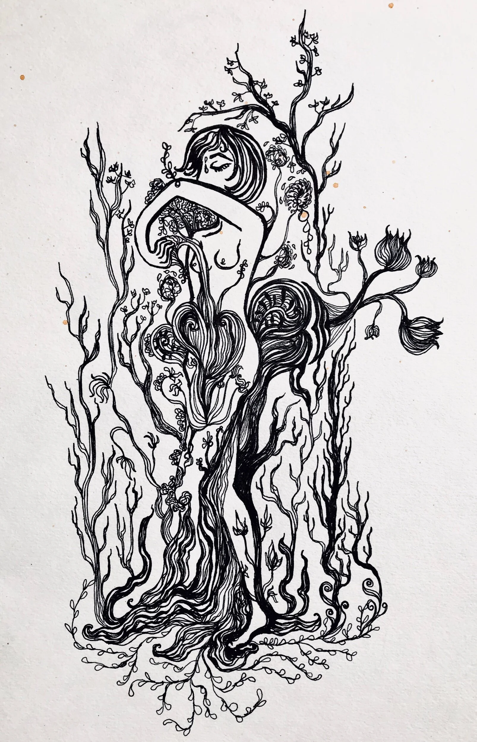  Study for Grow, ink on paper, 2014  Samantha Cimino 