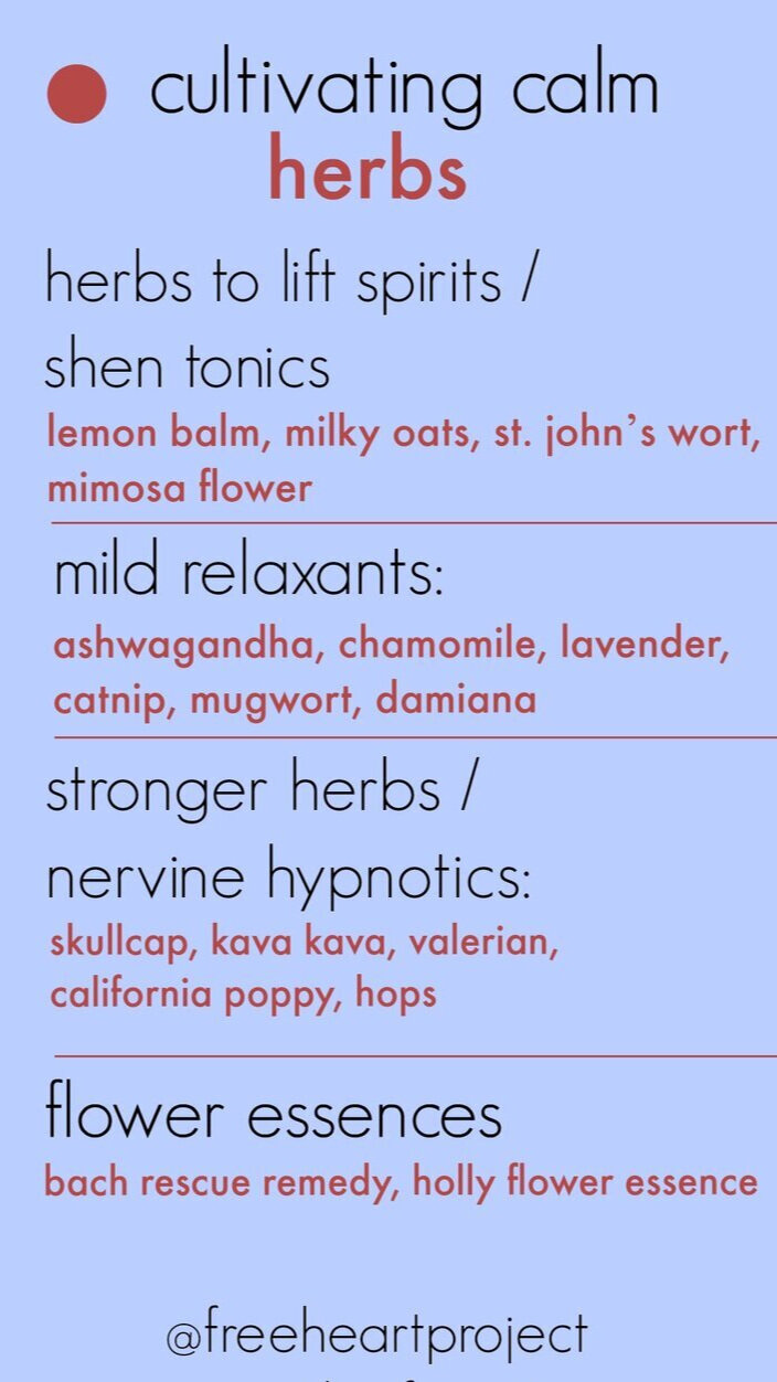 calm+-+herbs+2.jpg