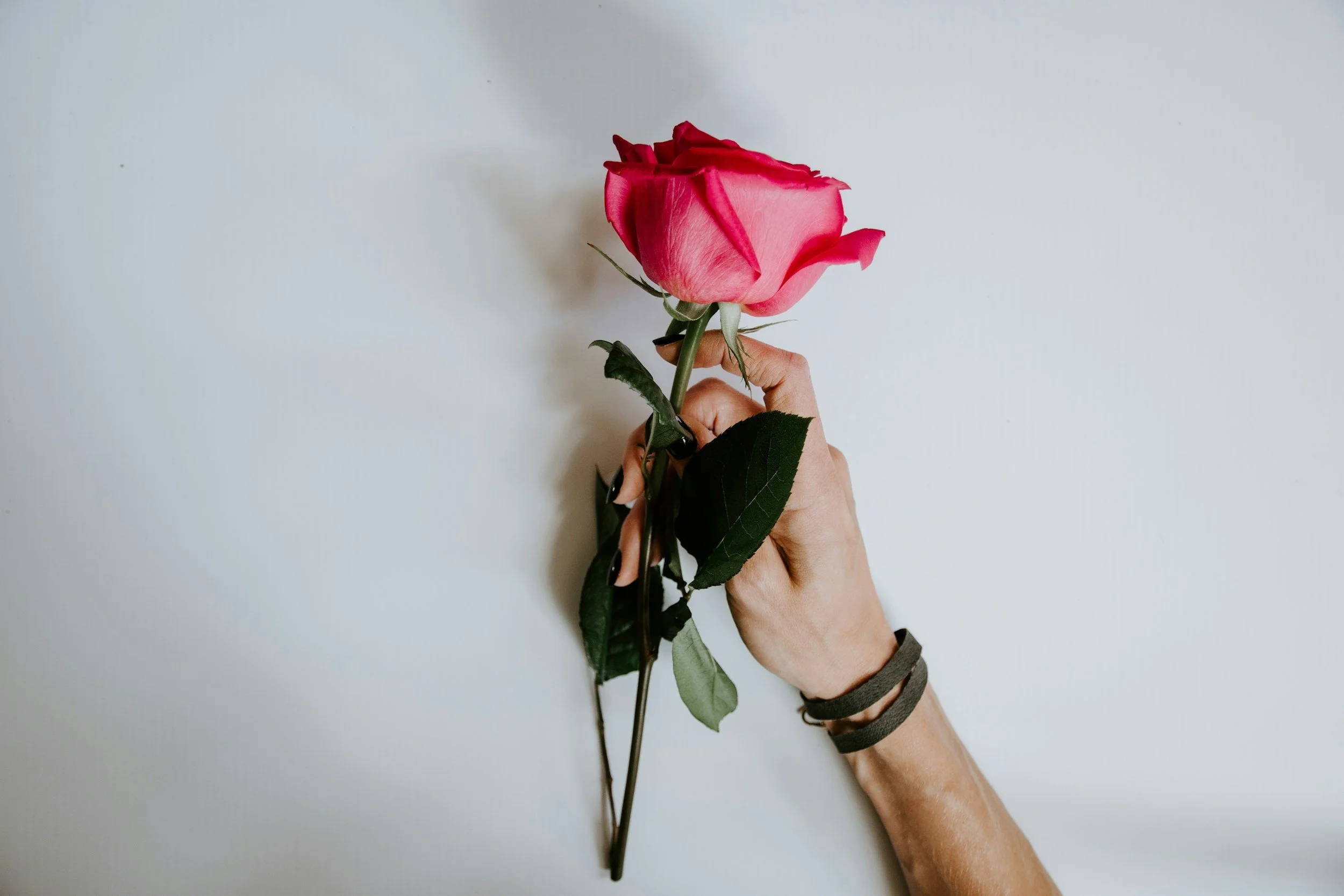 A person holding a pink rose with green leaves against a plain white background.