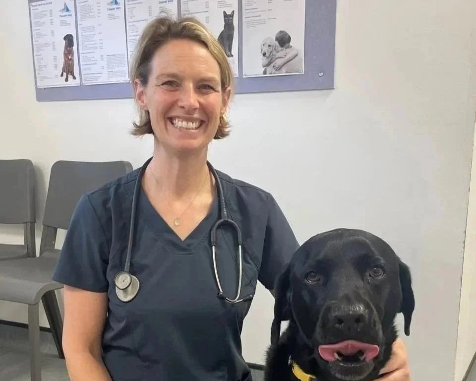 If You Could Ask the Vet Anything…