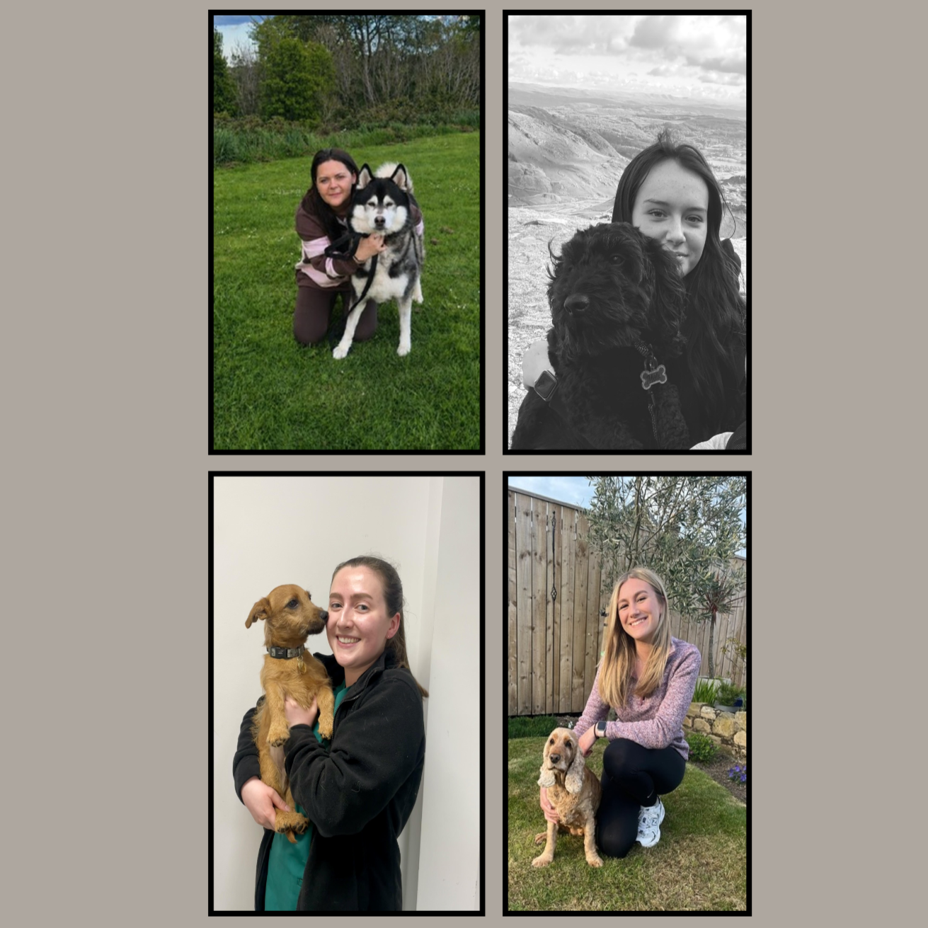 Meet Our Student Veterinary Nurses