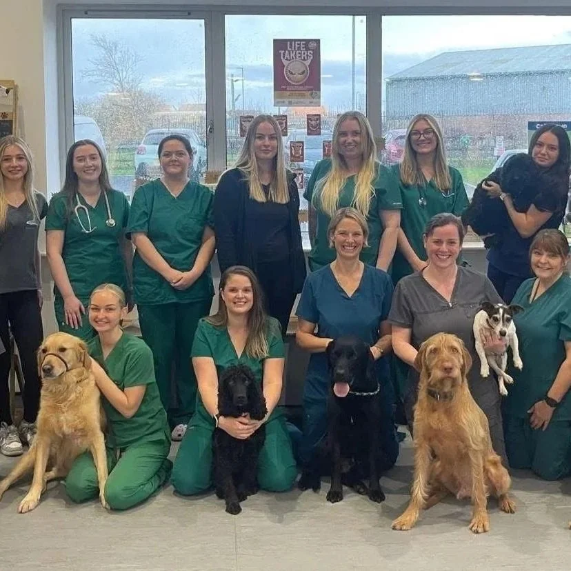 Coquet Vets nominated for North East Veterinary Practice of the Year
