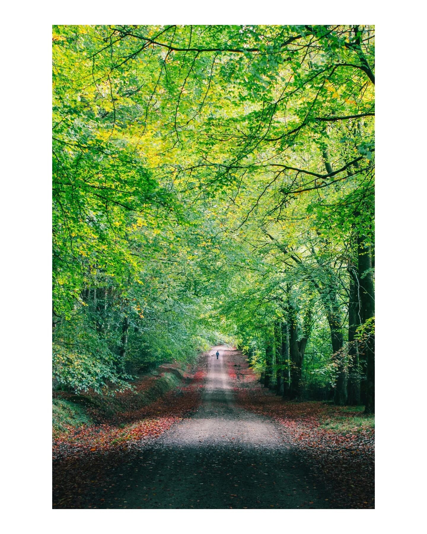 Is it just me.. Or does this Autumn seem to be lasting forever?

Not complaining or anything.

#ukpotd #ukshots #ukshooters #instabritain #ukscenery #yourbritain #littlepiecesofbritain #landscapes_of_britain #nikonuk #nikonownermagazine #natgeouk 

#