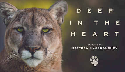Deep In The Heart @ Lake Mineral Wells State Park