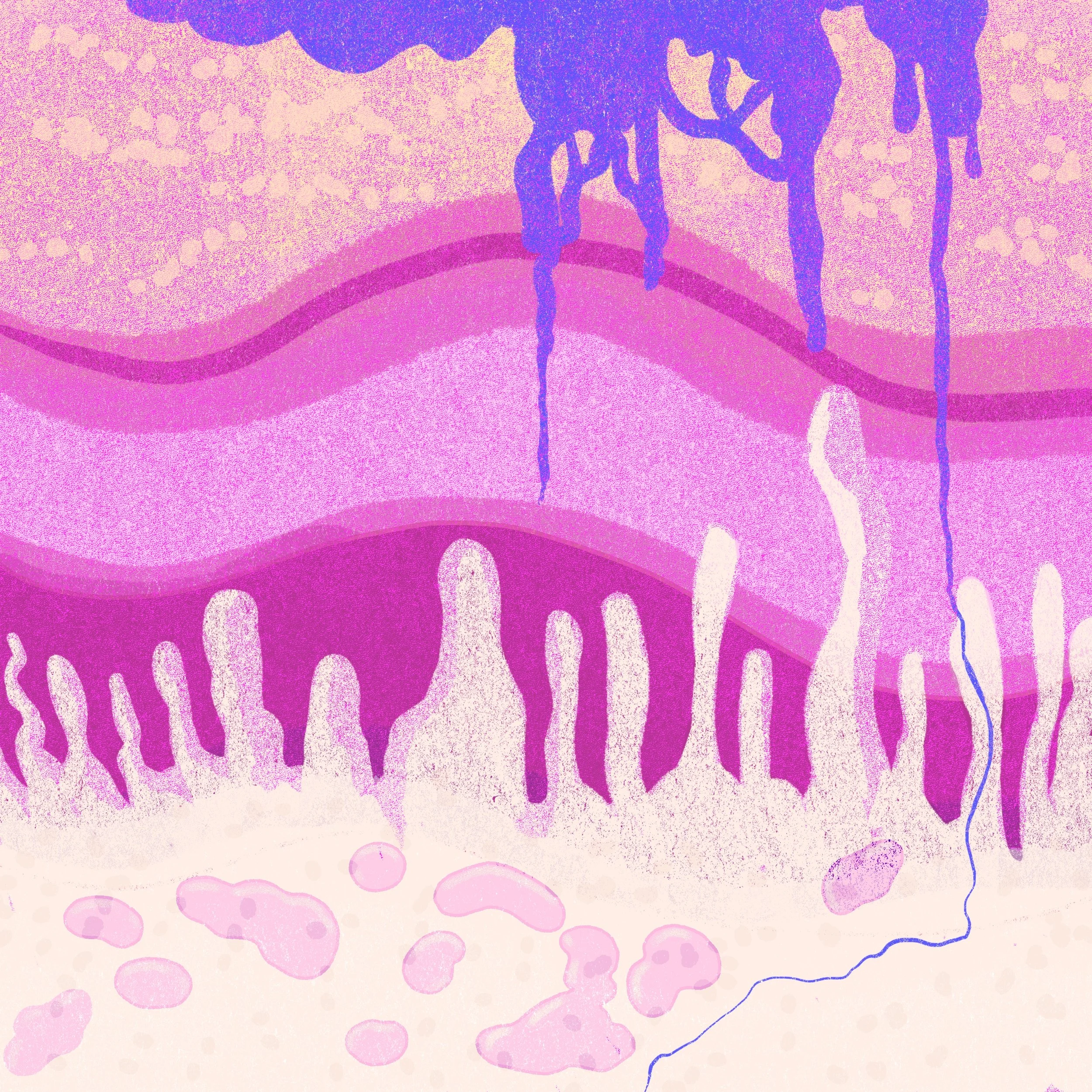 albumcover1.jpg