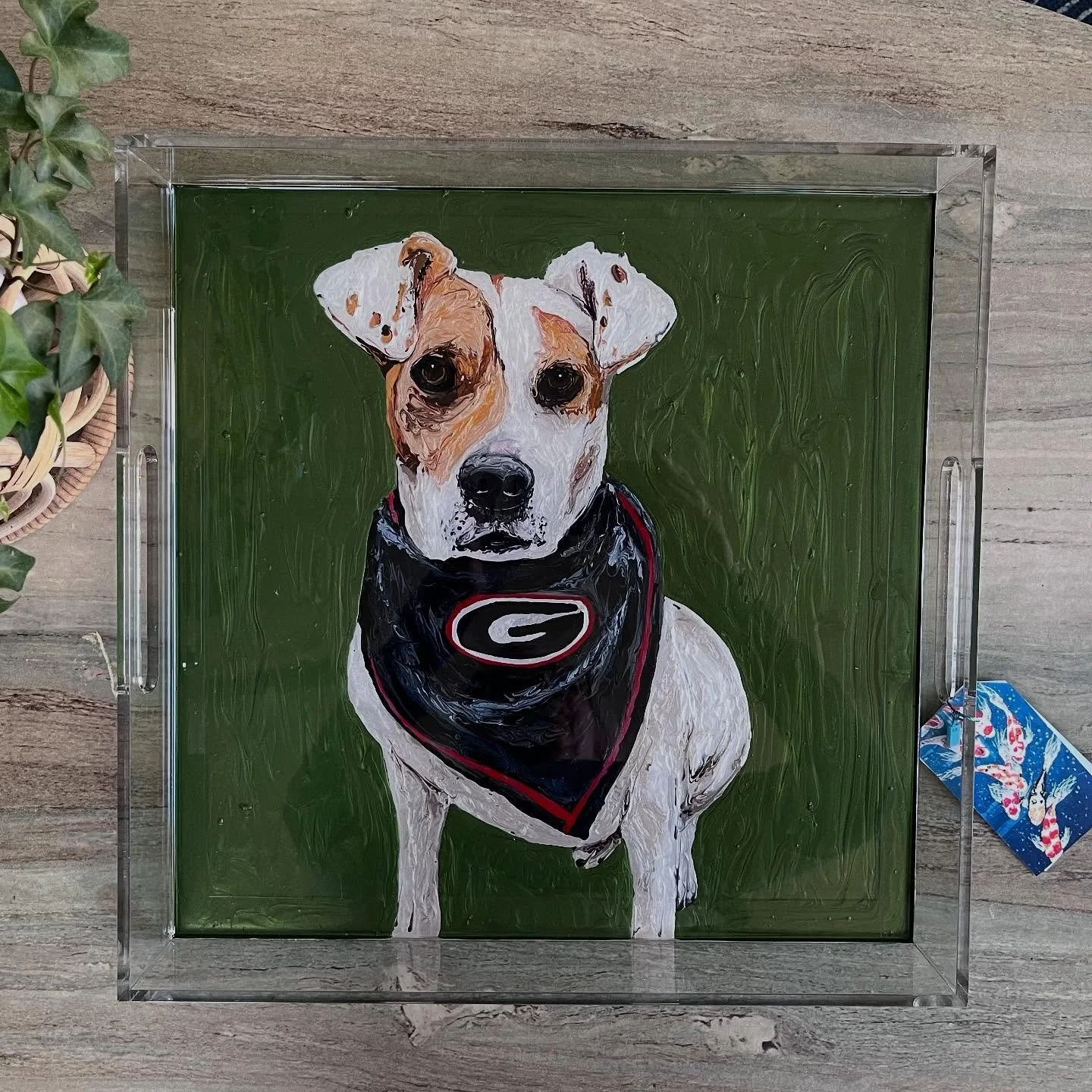 Thank dog it's Friday! Today we have a non-bulldog Bulldog, a group of labs so big they don't all fit in one picture, and a sweet golden (always my favorite!) 
.
.
.
.
.
#godawgs🏈 #goldenretrieversofinstagram #charlestonsc #dogportrait