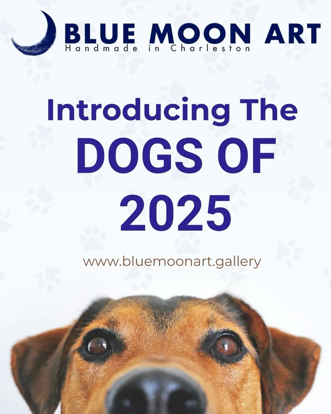 The dogs of 2025!! Enjoy!