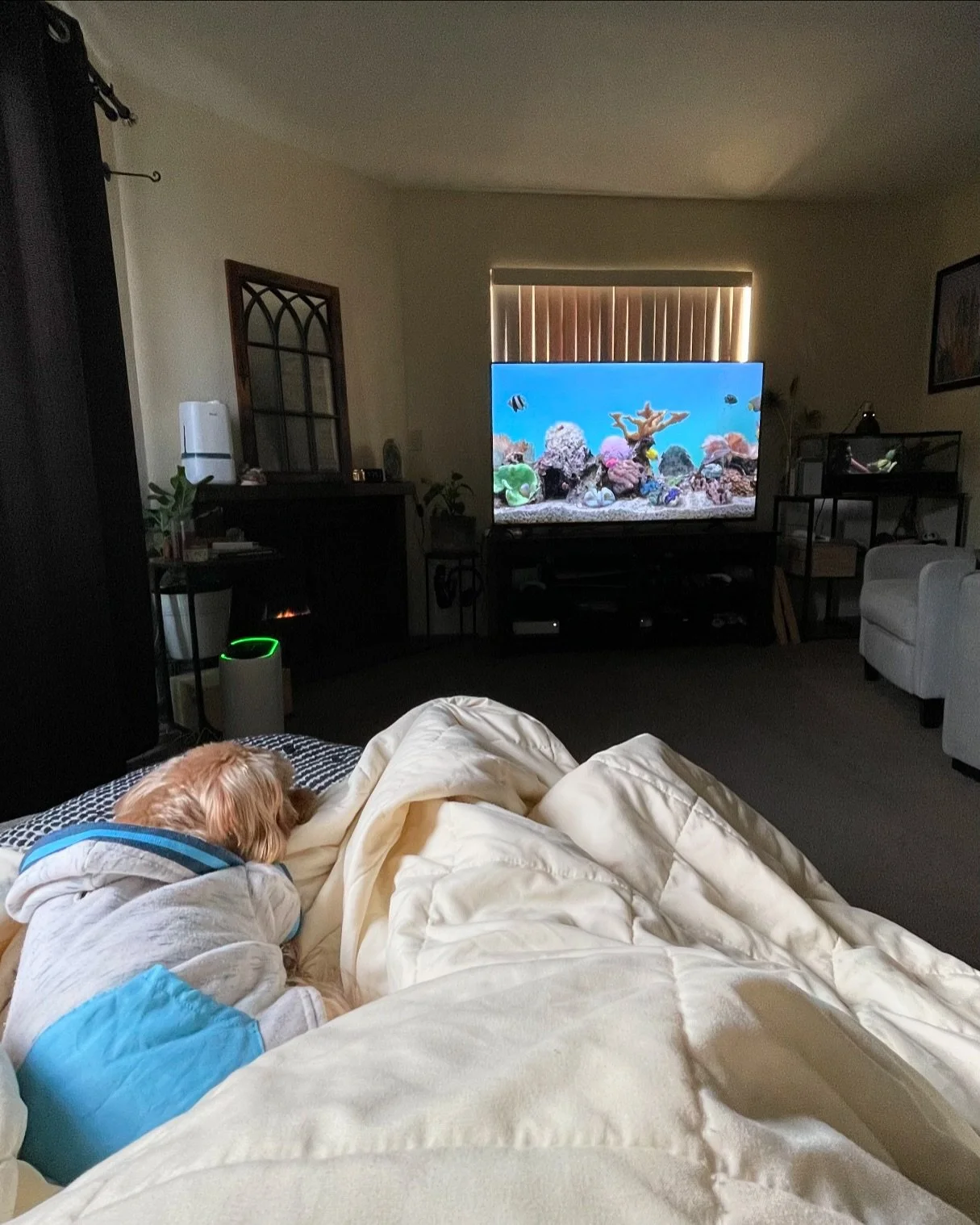 I&rsquo;ve made some new art but I&rsquo;ve yet to download it from my iPad to my phone&hellip; I&rsquo;ve been too busy snuggling my dogs 🤷🏻&zwj;♀️ 

I promise I&rsquo;ll share it soon 🤣 #cozyseason #snuggledog #snugglepup #artistlife #artist #po