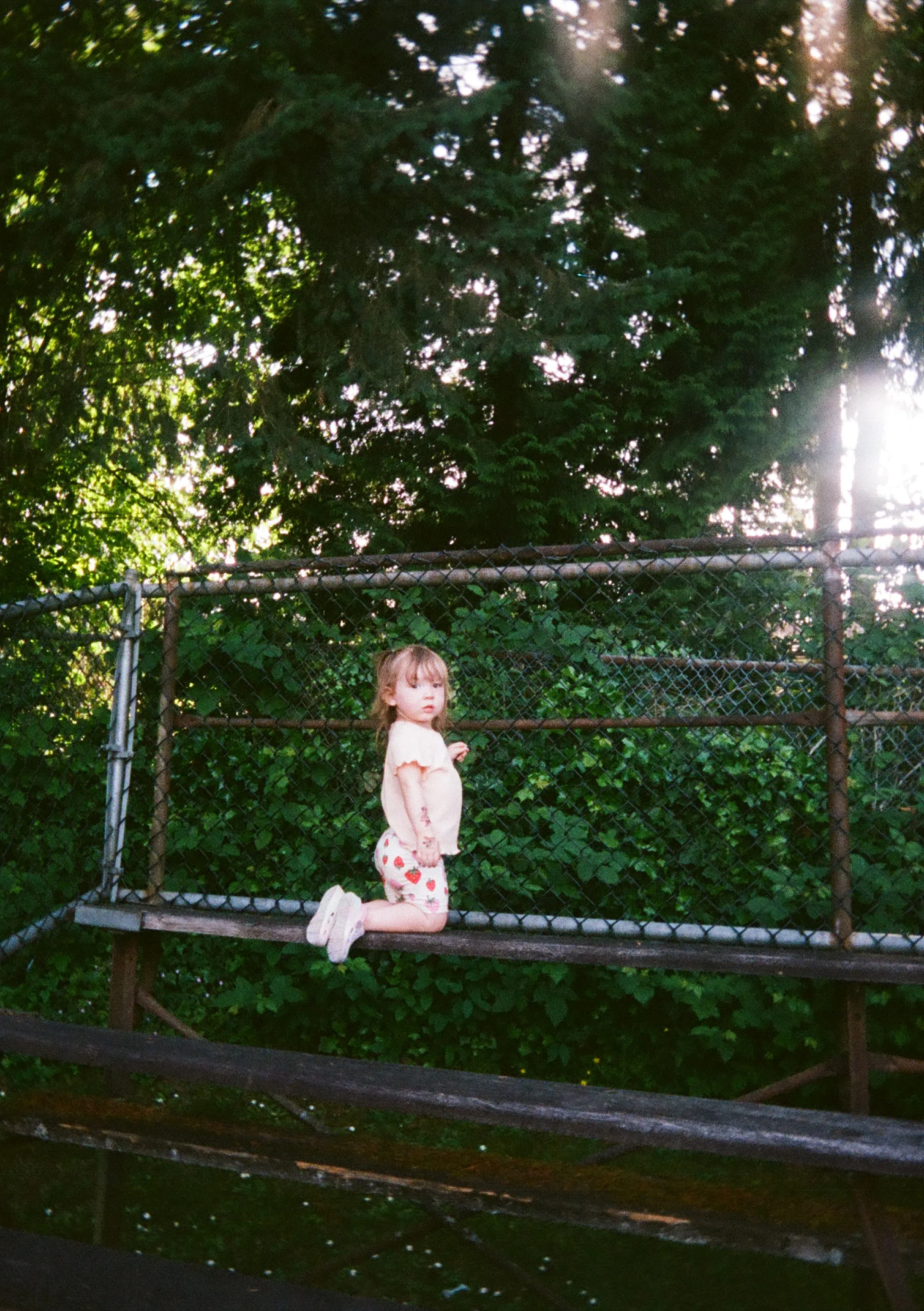 000219120059.jpg