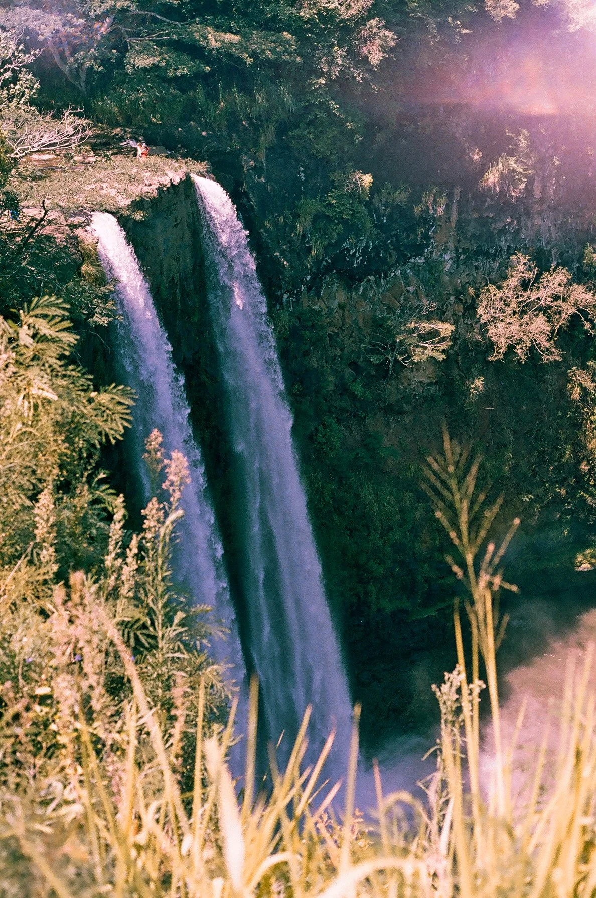 41620006.JPG